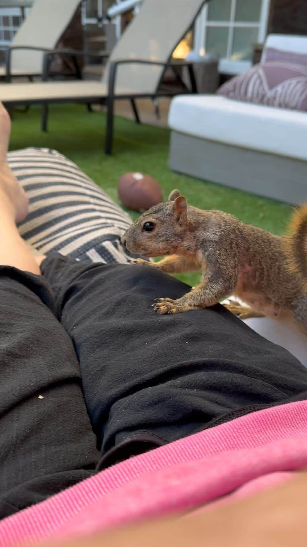 ロージー・オドネルのインスタグラム：「yes climbed on my lap #julieandrews」