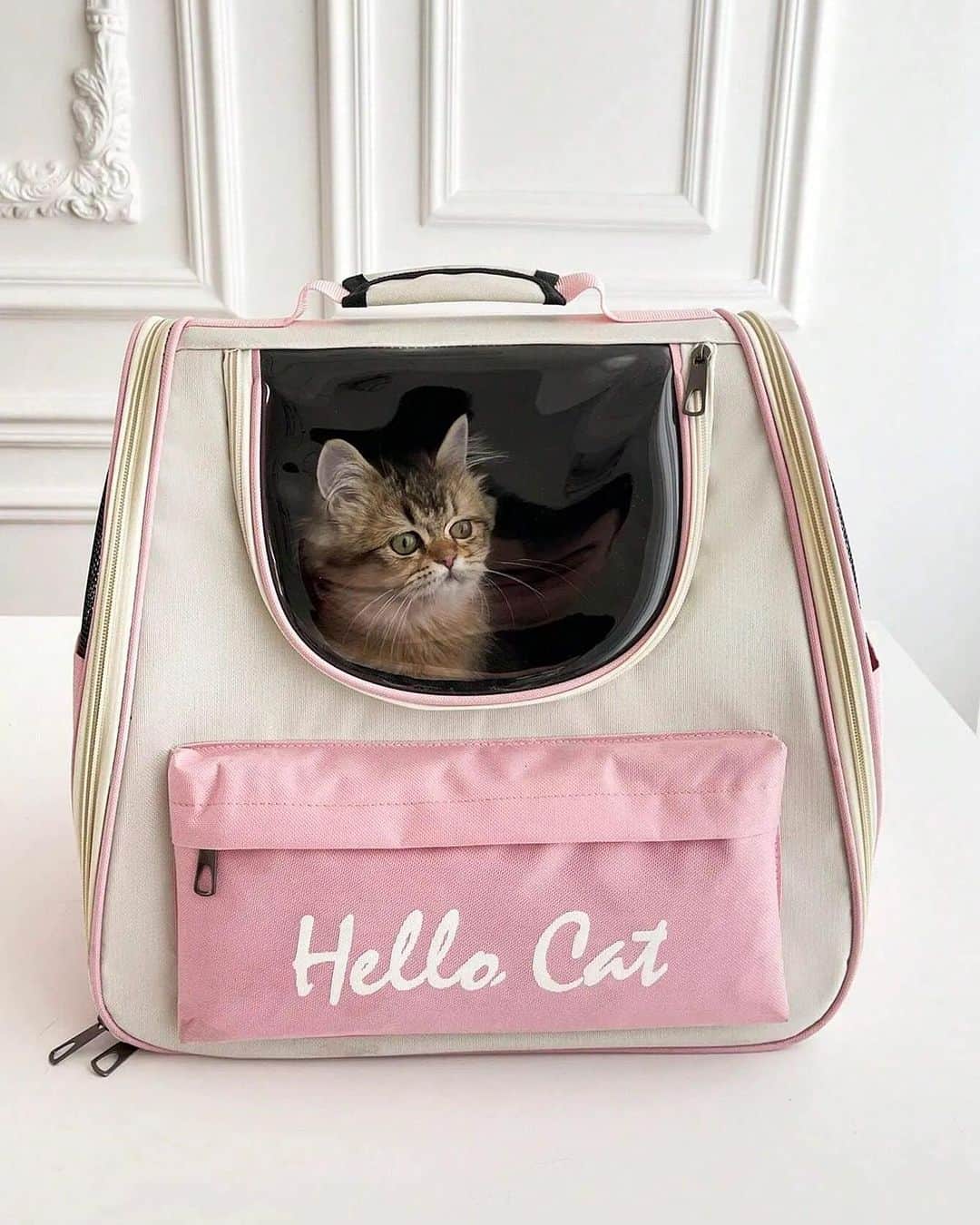 SHEINのインスタグラム：「Upgrade your fur baby's travel game with carriers that are the PURRfect blend of comfort and cuteness! 🐶😻🧳 Which @petsinofficial bag would give your little ones the VIP treatment they deserve? 👇  🔎 16251374 26015480 24531844  #SHEIN #SHEINforAll #SHEINstyle #fashion #chic #saveinstyle」
