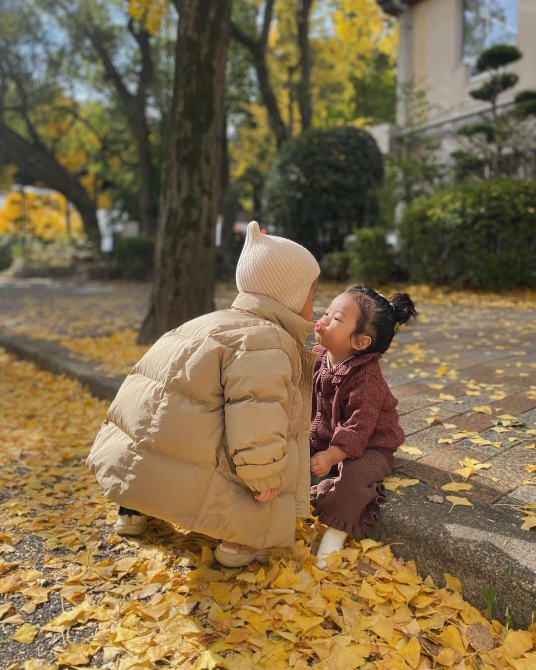 鬼辻麻衣のインスタグラム：「😚  紅葉シーズン、お散歩が楽しい🍁 今日もみんなで紅葉見に大阪城へ🚲  可愛い写真が撮りたくて👈 @ronron_baby_mom で取り扱っている QUINCY MAEのカーディガンを着せました👧🏻 紅葉カラーでかわいい🍁❤️‍🔥  身長80cmで18-24m着用です！」