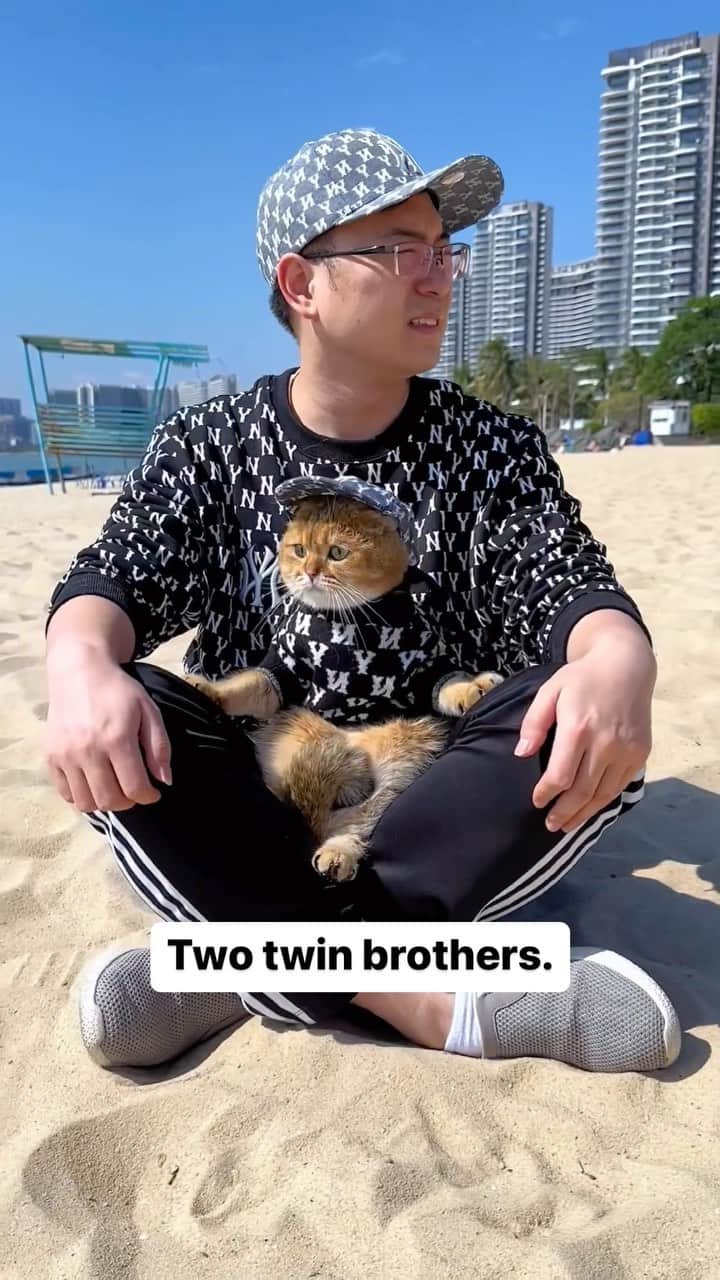 Cute Pets Dogs Catsのインスタグラム：「Two twin brothers.  Credit: adorable @帅比小喵 - DY ** For all crediting issues and removals pls 𝐄𝐦𝐚𝐢𝐥 𝐮𝐬 ☺️  𝐍𝐨𝐭𝐞: we don’t own this video/pics, all rights go to their respective owners. If owner is not provided, tagged (meaning we couldn’t find who is the owner), 𝐩𝐥𝐬 𝐄𝐦𝐚𝐢𝐥 𝐮𝐬 with 𝐬𝐮𝐛𝐣𝐞𝐜𝐭 “𝐂𝐫𝐞𝐝𝐢𝐭 𝐈𝐬𝐬𝐮𝐞𝐬” and 𝐨𝐰𝐧𝐞𝐫 𝐰𝐢𝐥𝐥 𝐛𝐞 𝐭𝐚𝐠𝐠𝐞𝐝 𝐬𝐡𝐨𝐫𝐭𝐥𝐲 𝐚𝐟𝐭𝐞𝐫.  We have been building this community for over 6 years, but 𝐞𝐯𝐞𝐫𝐲 𝐫𝐞𝐩𝐨𝐫𝐭 𝐜𝐨𝐮𝐥𝐝 𝐠𝐞𝐭 𝐨𝐮𝐫 𝐩𝐚𝐠𝐞 𝐝𝐞𝐥𝐞𝐭𝐞𝐝, pls email us first. **」