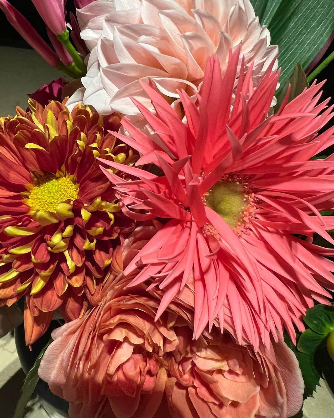 中根麗子さんのインスタグラム写真 - (中根麗子Instagram)「riendaの元生産で支えてもらっていたのんちゃん💗  小顔矯正スペシャルとハイアールエフウェーブを施術しにきてくれたよ💗  可愛いお花もありがとう💗💗 のんちゃんも私が好きなお花💗💗 嬉しい💗 ピンクのお花もずっと好き💗  元SLYのスタッフがやってるお花屋さんらしい💗 可愛い💗  施術で久しぶりに、色んな人と会えて嬉しすぎる💗💗  のんちゃん、ありがとう💗💗 #variesprime #beautysalon  #reikonakane #エステ #勝山式美容矯正  #小顔矯正 #小顔 #リフトアップ #たるみ #ほうれい線 #中顔面短縮 #くすみ」11月29日 23時45分 - reiko_nakane