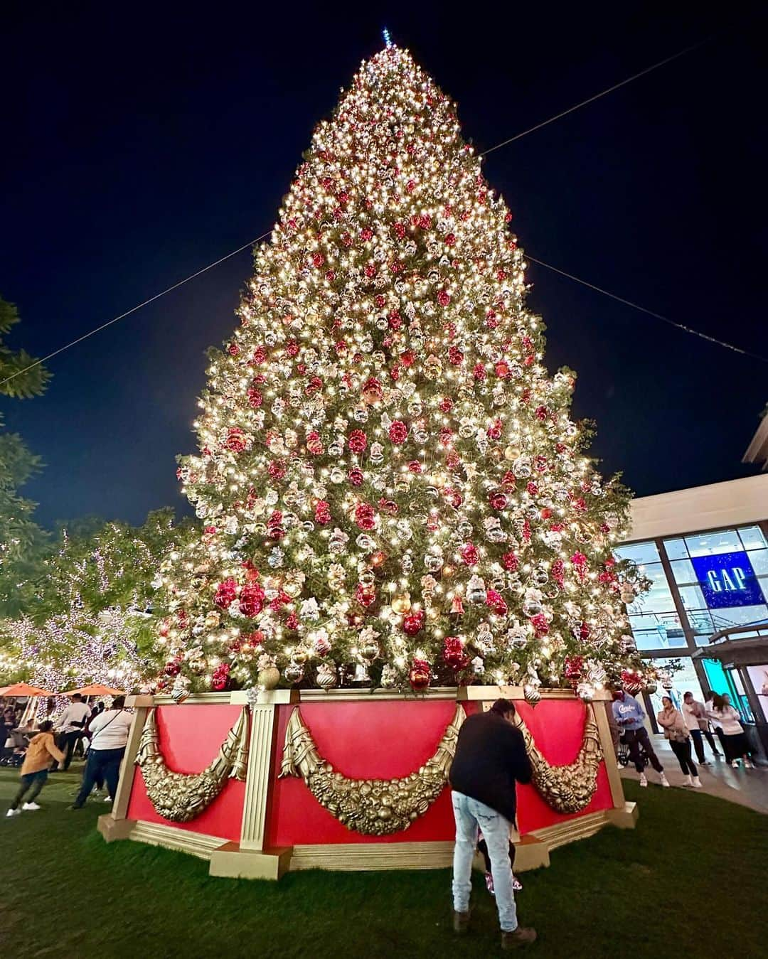 月本えりさんのインスタグラム写真 - (月本えりInstagram)「LA Dump🌴  #losangeles #photodump  #🌴 #🇺🇸 #⛳️ #erewhonmarket #shopping  #groceryshopping #happyholidays  #goodnight」11月29日 15時53分 - eritsukimoto