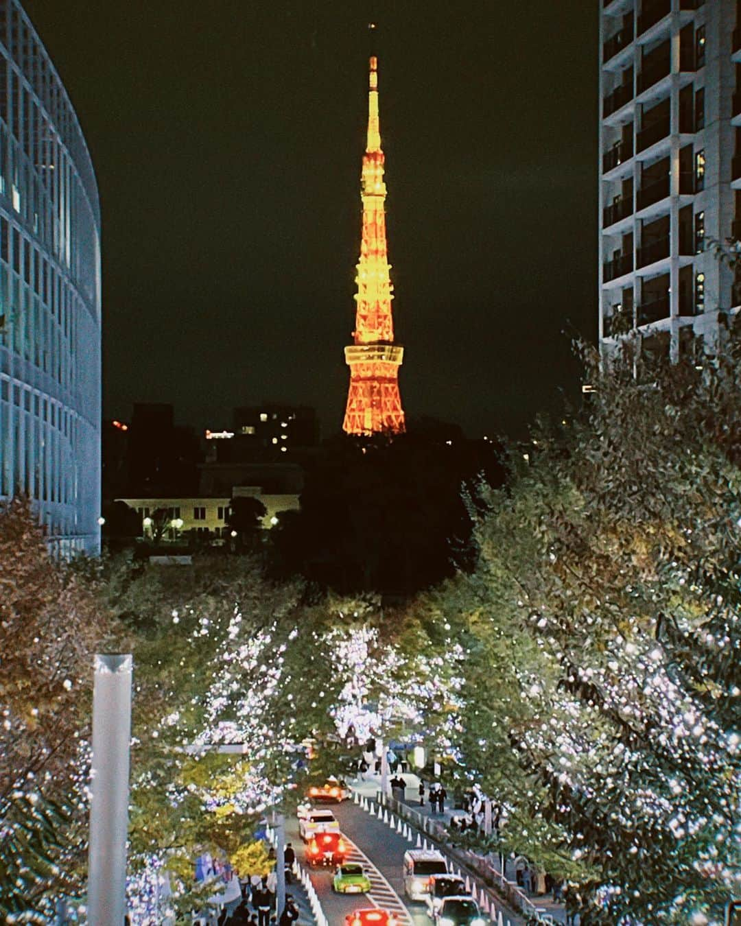 美澄衿依のインスタグラム：「🗼🎄.*」