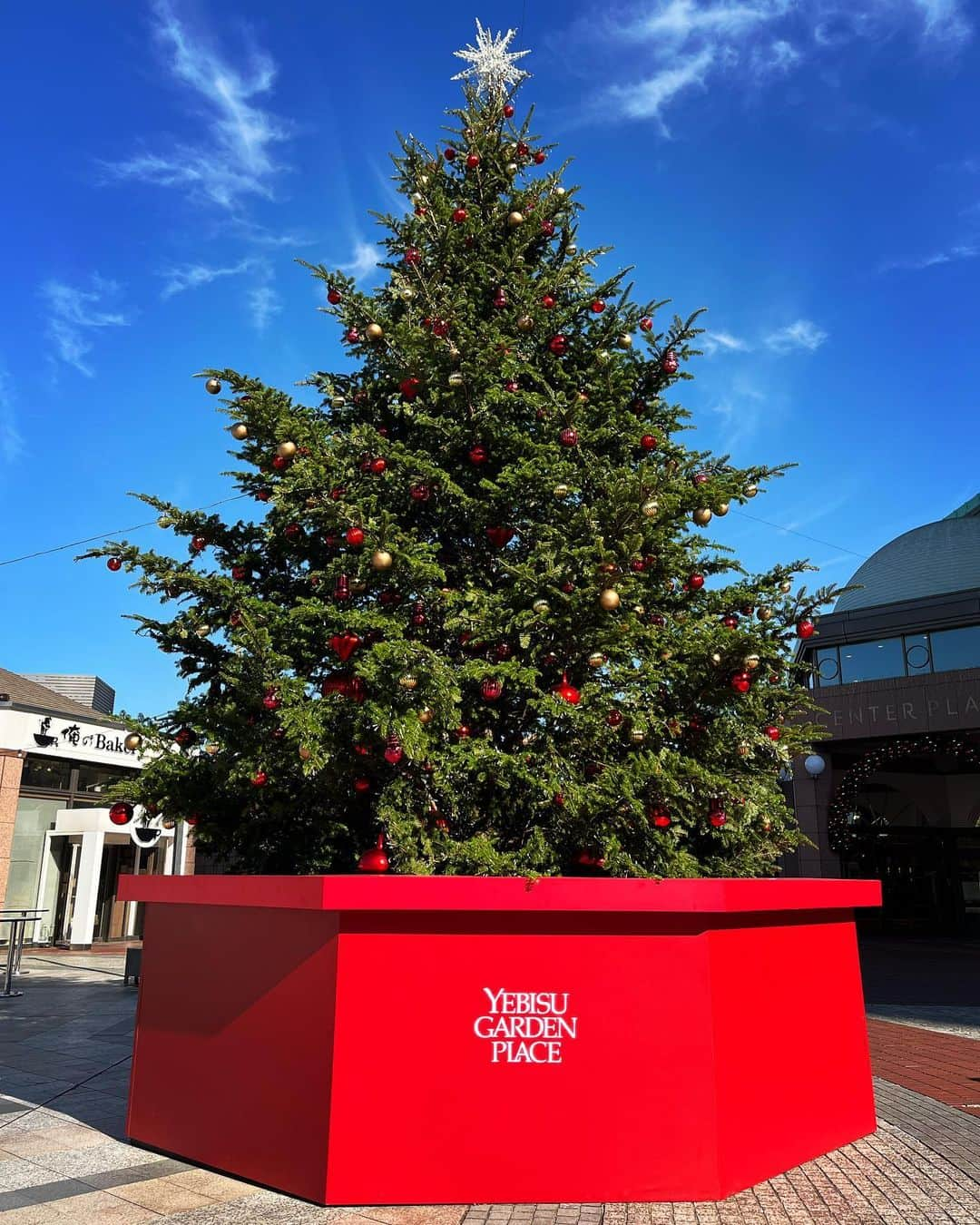 ACOさんのインスタグラム写真 - (ACOInstagram)「Perfect day🎄❣️❣️  #xmastree #ebisu #gardenplace #sunnyday」11月29日 16時38分 - acobikini