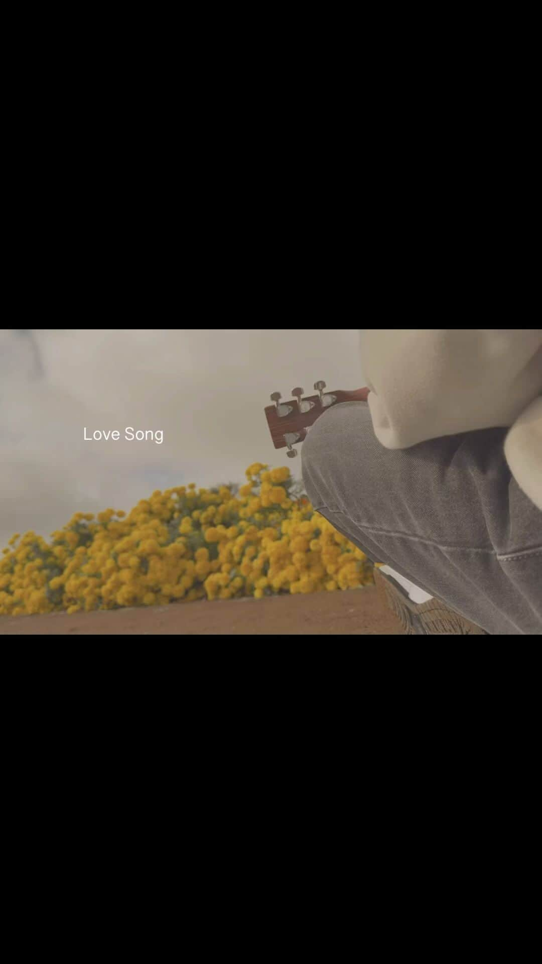 もさを。のインスタグラム：「Love Song / もさを。(弾き語りVer.) ⁡ 「愛しいだけじゃ足りないよ」 ⁡ 沢山聴いてくれてるかなー？ 弾き語りVer.もお届けします！」