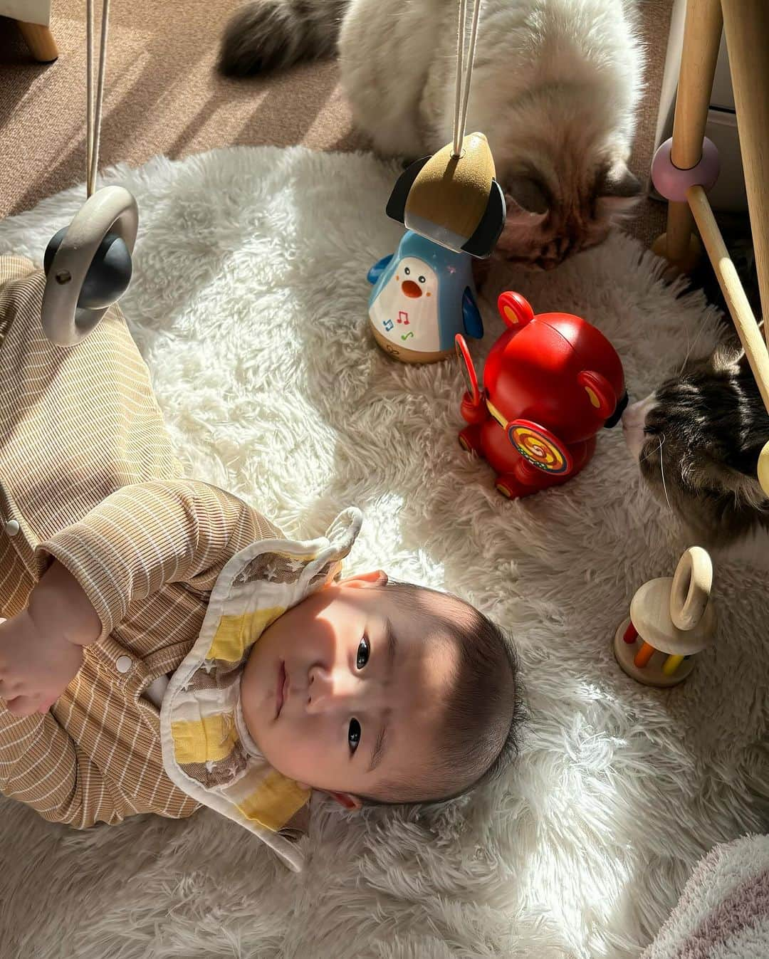 ericaさんのインスタグラム写真 - (ericaInstagram)「#pr #toysub #トイサブ  神👶初めてのおしごと✌️  定額制知育おもちゃサブスク トイサブ！ @toysub_kids 様から 可愛いおもちゃ達が届きました🐻  トイサブは生後3ヶ月〜満6歳までの子供の成長に合わせて 知育おもちゃを送ってくださるサービス🎁  世界中から集めた1800種類のおもちゃを おもちゃプランナーの方が個別に選んで送ってくれます🐰  我が家は猫を飼っていて、1匹がシリコン製のものを誤食する癖があるため😂シリコン製のおもちゃはNGとお伝えしたら、木製のおもちゃを中心に選んで送ってくださいました🌳  2ヶ月に1回の交換なので 成長に合わせて沢山のおもちゃで遊ぶことができるのも とっても良いポイントだよね✌️  ◾️Play Gym ◾️五感を育てるメリー ◾️おやすみラッコ ◾️PWカラーハンド ◾️ラトルFAVA ◾️おきあがりペンギン  今回のプランは「〜ねんねからおすわりまで！ベビージムを上手に使って遊ばせましょう〜」をテーマに、この6つが届きました🐻  現在4ヶ月！ベビージムでコロコロ寝返り練習中の神👶 なんのおもちゃがお気に入りになるかなぁ？ また来月レポします🫡」11月29日 16時45分 - dngnchan