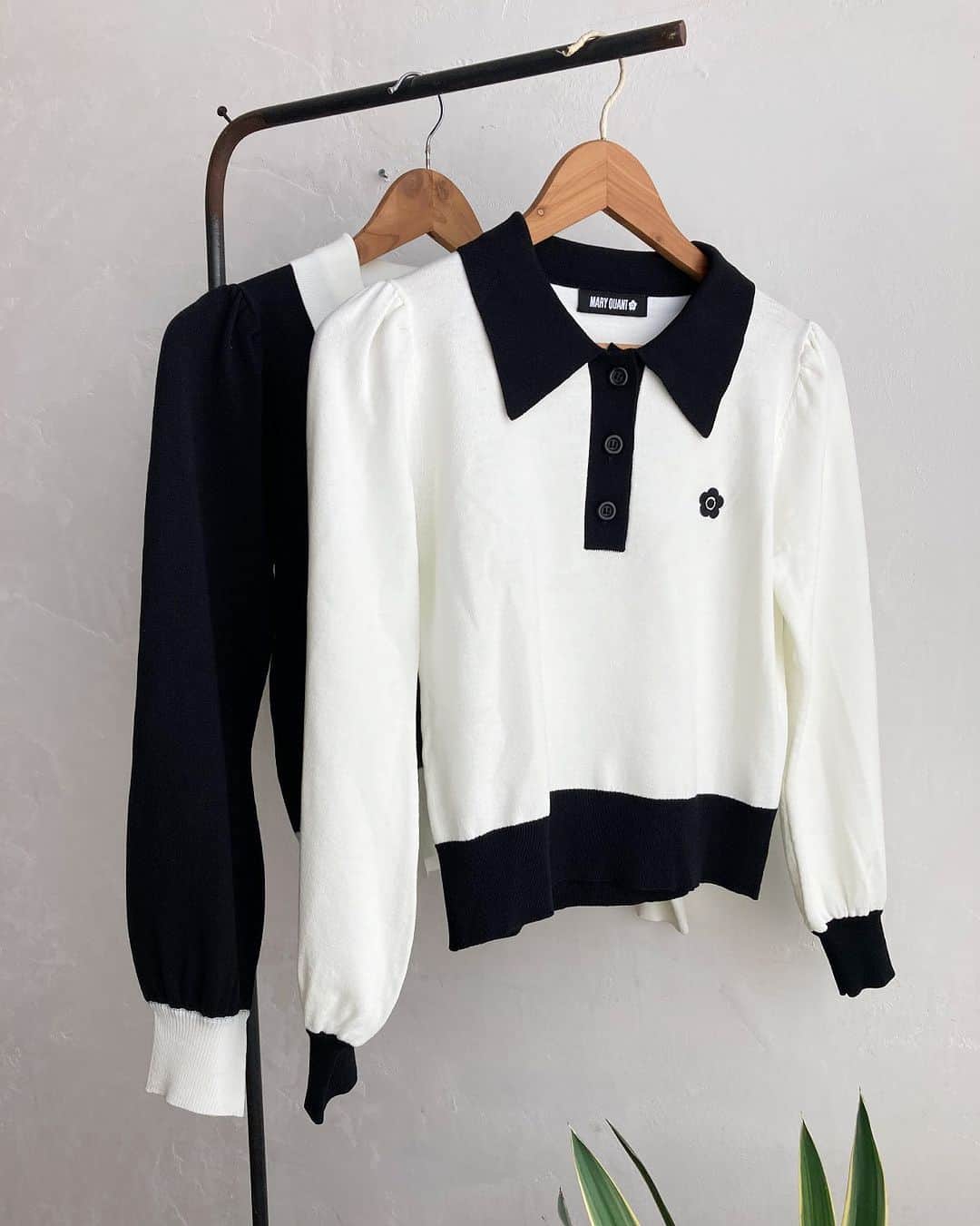 MARY QUANT officialのインスタグラム：「- #バイカラーデイジーポロ長袖プルオーバー - 明日まで！ オンラインショップにて送料無料キャンペーン実施中 ※全てのお買い物が対象 - #MARYQUANT #2023WINTER #NEWITEMS #FASHION - #マリークヮント #プルオーバー #ポロニット #ニット #バイカラー」