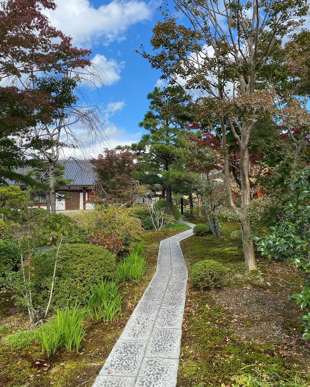 林えみりさんのインスタグラム写真 - (林えみりInstagram)「先日の叔母との京都旅行🍁  幼い頃から、私にとっては親のような、姉妹のような存在の叔母が 今年になって長年勤めた会社を 遂に退職したので、 京都旅行へ行って参りました。  叔母は、30年ぶりの京都。 新幹線自体30年ぶり！  何を見ても、何を食べても無邪気に喜ぶ姿にこちらもほっこり☺️👍  とくに、清水寺近くのドーナッツの美味しさにひどく感動していましたw うん、たしかにとっても美味しかった♡  それにしても京都は寒かった‥ ヒートテックに、あったかアウターを着て行きましたがそれでも寒くてホッカイロを貼ったくらいです。  お昼に頂いた温かいラーメンが沁みました🤍🍜🍥  #京都#京都旅行#日帰り旅行  #日帰り京都#紅葉#清水寺#建仁寺 #japan#beautifuljapan#kyoto#kyototrip #japanesegarden #trip」11月29日 17時28分 - emiri_konatsu