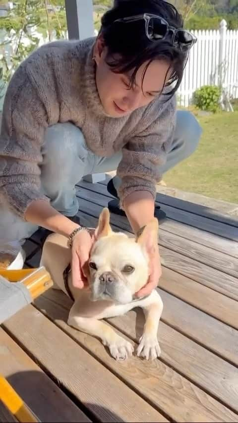 榿澤涼太のインスタグラム：「. わしゃわしゃ。 CLASSY.の撮影にいたワンちゃん🐶 顎下触られると気持ちいいね^ ^  #classy」