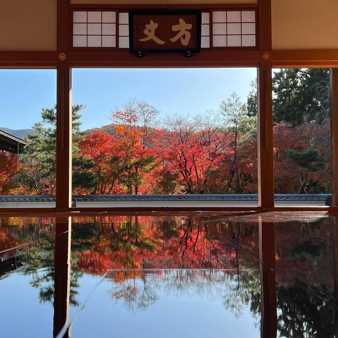 武藤乃子さんのインスタグラム写真 - (武藤乃子Instagram)「🍁 宝徳寺の秋の床もみじ。  #宝徳寺 #床もみじ #紅葉 #紅葉狩り  #桐生  #桐生市 #群馬 #群馬県」11月29日 17時35分 - muto_noriko.11