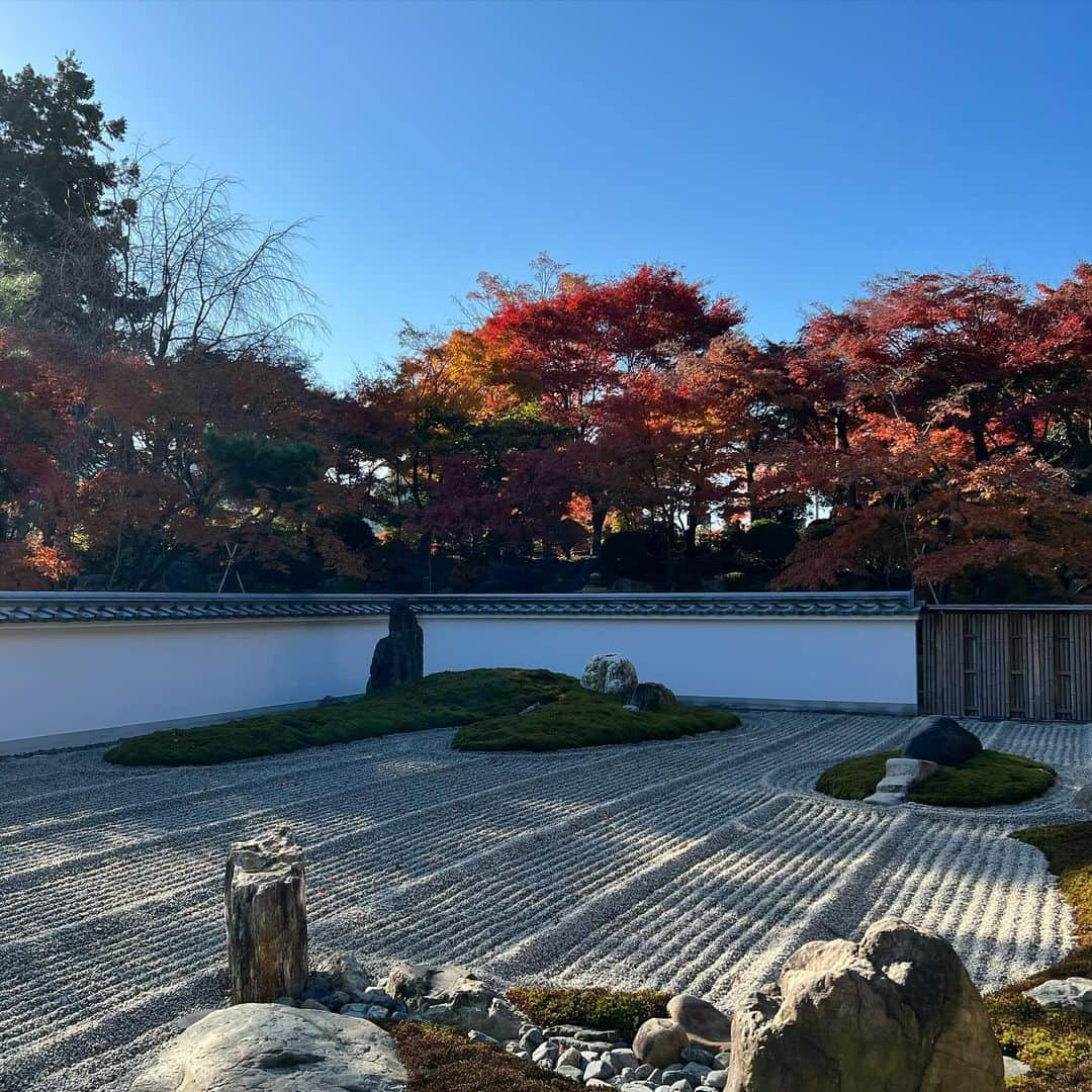 武藤乃子さんのインスタグラム写真 - (武藤乃子Instagram)「🍁 宝徳寺の秋の床もみじ。  #宝徳寺 #床もみじ #紅葉 #紅葉狩り  #桐生  #桐生市 #群馬 #群馬県」11月29日 17時35分 - muto_noriko.11