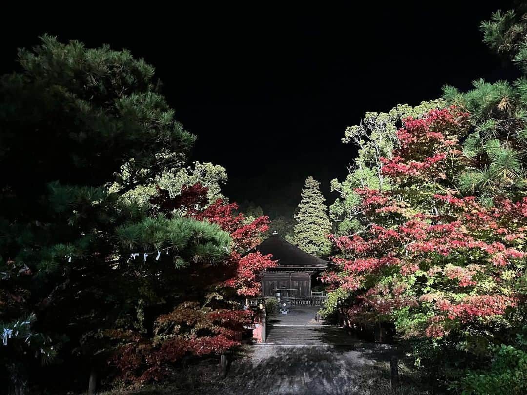 眞家泉さんのインスタグラム写真 - (眞家泉Instagram)「. 2023年の紅葉中継 初日は 福島県いわき市の白水阿弥陀堂から🍁 （2023/11/17金）  ここは9月に襲った台風13号による線状降水帯の影響で、浸水被害のあった場所です。 紅葉はそれらの影響もあってか、色付きは控えめだということでした。  タクシーの運転手さんも、このときの被害について話してくださいました。 住職の方の、「この場所で水害にあった方のためにも、シンボルとして1日も早く復旧できるよう努力したい」という思いに そしてこの場所を彩る紅葉に きっと多くの方が心を寄せているのだろうと感じました。 ------------------------- 私にできることはなかなか見つかりませんが 思いを言葉に乗せて、お届けしました 尺の都合でお伝えできなかったですが紅葉は雨に濡れてしっとりと、艶やかでした🫧☁️」11月29日 17時37分 - maie_izumi