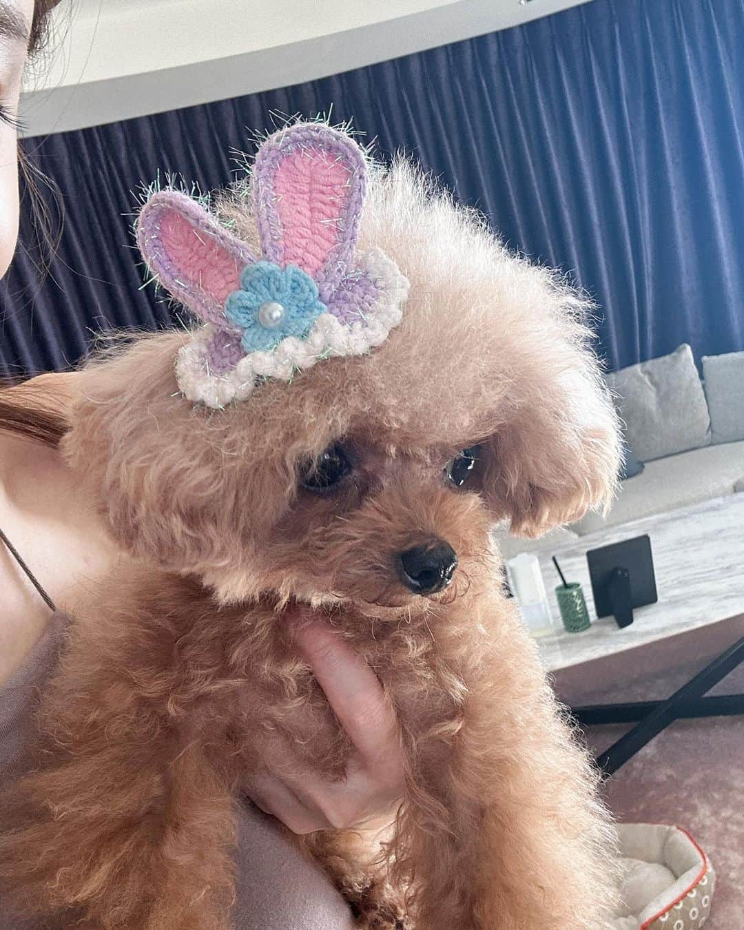 大沢ケイミのインスタグラム：「母ちゃん恥ずかしがってる🫣笑」