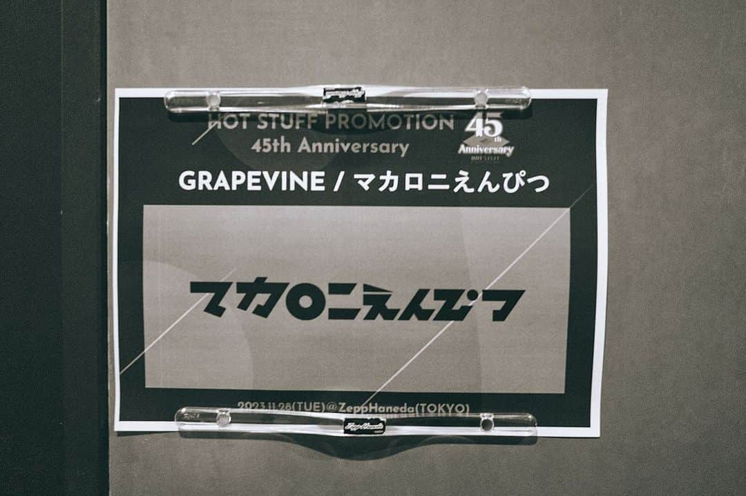 田辺由明さんのインスタグラム写真 - (田辺由明Instagram)「【HOT STUFF PROMOTION 45th Anniversary】ありがとうございました！！  大先輩GRAPEVINEとの4年ぶりのツーマン。 "ロックバンド"としてGRAPEVINEから学ぶことは本当に多い…。  GRAPEVINEからもらった刺激と、駆け付けてくれた皆様からの愛で満たされた幸せな夜でした！！  photo by 酒井ダイスケ @imdaisukesakai   ホットスタッフ45周年おめでとうございます！！  #grapevine #マカロニえんぴつ #マんぴつ」11月29日 17時56分 - toriashi_vyt