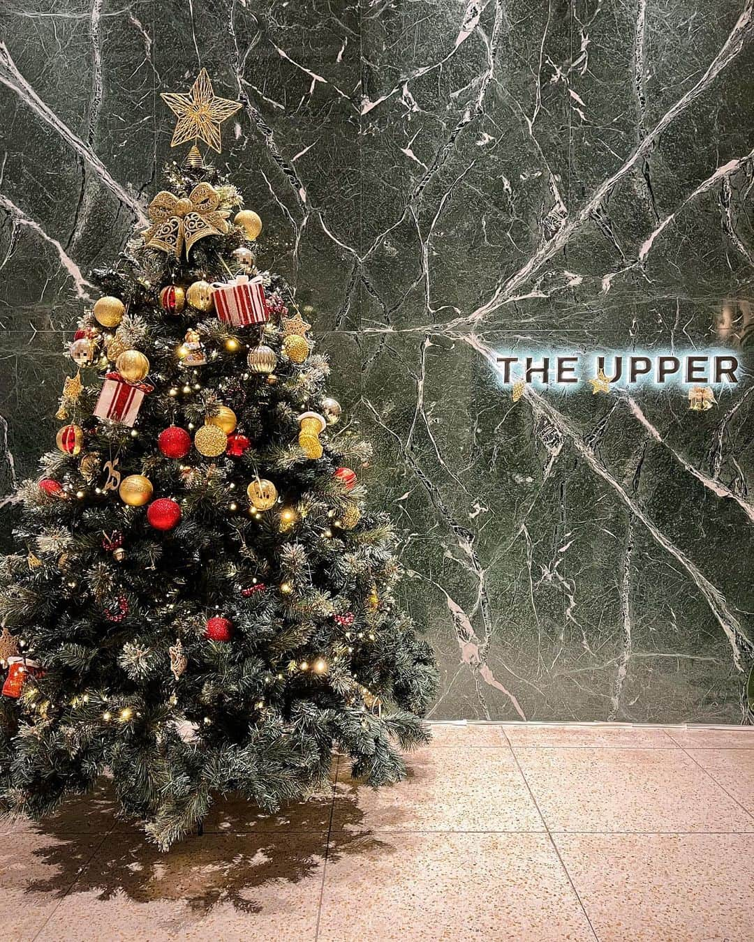 東條恭子さんのインスタグラム写真 - (東條恭子Instagram)「🤍 ⁡ 「THE UPPER」🍽️🥂 @theuppertokyo 海外のレストランのような内装がタイプすぎるのと 居心地も良くて長居してしまいます♥💭 全てのお席タイプで寛ぎたくなる🫶🏻🤍← ⁡  #theupper #アッパー #フレンチブラッスリー #大手町ランチ #大手町グルメ #大手町ディナー #女子会 #女子会ランチ #丸の内ランチ #丸の内グルメ #丸の内ディナー #ビストロ #テラス席 #カウンター席」11月29日 17時59分 - kyoko_tojo