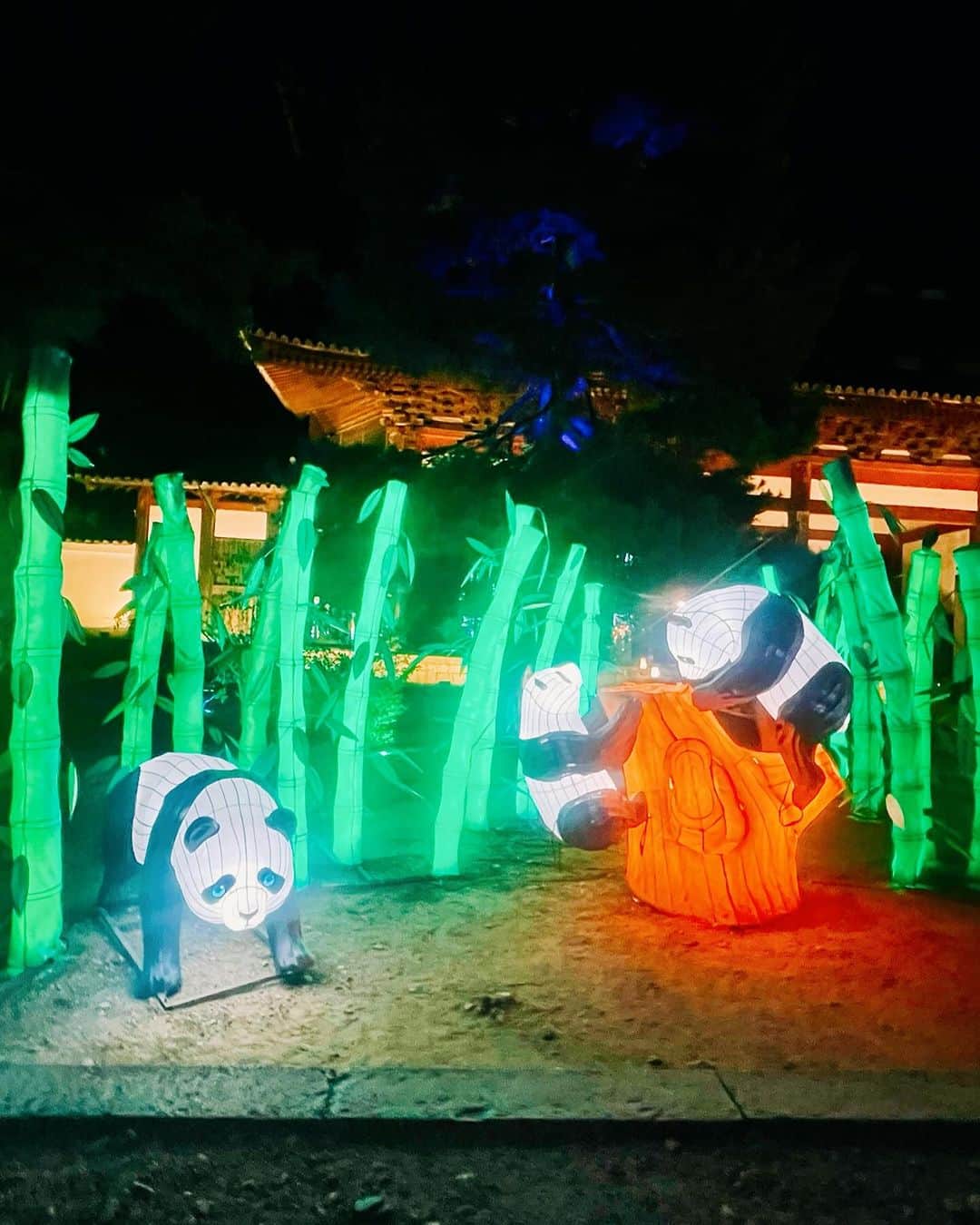 森夏子さんのインスタグラム写真 - (森夏子Instagram)「＼ライトアップ／  京都•宇治にある “黄檗宗大本山萬福寺”  ここは中国にゆかりがあるお寺。 日本に伝えられた中国文化を継承し 黄檗文化を発信する機会として ✨黄檗ランタンフェスティバル✨ が開催されています。  中国で作製された中国ランタンが 広い境内のあちこちに展示され キラキラと輝いています。  大きな作品が多いので 思わず「おっきいなぁ」と言ってしまうかも🎵  「日中友好の門」をくぐって 光の回廊を奥へ…進むと 広い境内に中国で製作されたランタンがずらり！ その大きさに圧倒されます🤩  #隠元禅師渡来 (いんげんぜんじとらい)🚢  #麒麟端獣 (きりんずいじゅう)🔥 　→色付きのガラス瓶🫙が✨✨✨  もちろんパンダ🐼ちゃんも！！！  週末の金土日は、ステージイベントもあります。 中国変面ショーもご覧あれ🎵  ✨黄檗ランタンフェスティバル✨ 📍 黄檗山　萬福寺 🚃 JR 黄檗 or 京阪黄檗　 ⭐️ 〜12月10日まで ⏰ 17：30〜21：00(最終受付20:30) 🎟️ 大人 1,500円 学生 1,000円 中高生500円  #黄檗ランタン2023 #萬福寺 #宇治観光 #夜間特別拝観 #ランタンフェスティバル  #変面ショー  #お寺ライトアップ #そうだ京都いこう #日本に京都があってよかった #京都大人旅 #京都庭園 #japanese_gardens #japanesetemple  #kyotostyle #kyoto_style  #Japan #京都旅 #京都散策 #そうだ京都いこう  #大人旅 #discoverkyoto  #japan_travel  #visitkyoto」11月29日 18時09分 - natsusora72