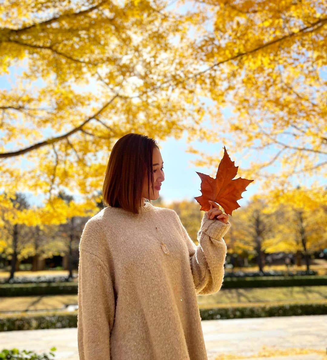 長谷川朋美さんのインスタグラム写真 - (長谷川朋美Instagram)「今が見頃の昭和記念公園の紅葉🍁 今日はサロンメンバーたちと公園周りのゴミ拾いと紅葉狩りに行ってきました✨  Photo by @hinata_sunnyday   ※その様子は別途詳しくレポ！  昭和記念公園はプリンとマロンと 何度も訪れた思い出の場所で 懐かしい気持ちに🥹  公園を散策しながら みんなで木々に触れたり マインドフルネスな時間と感覚を たくさん味わいました❤️  ・ オンラインサロン発 エシカルユニットエシカルビューティーズ企画で  公園の後も立川駅前のソラノホテルの サステナブルな取り組みについて スタディツアーをしたり、  エシカルランチ会も開催したりと盛りだくさん✨  主催の @yukiiito @jillmiyukame @natural._.harmony   ありがとう♡  ・ 今夜20時からはエシカルビューティーズの メンバー数名とLIVEもするので是非ご覧下さい😘  #紅葉 #立川 #昭和記念公園 #いちょう #もみじ」11月29日 18時17分 - hasegawa.elena.tomomi