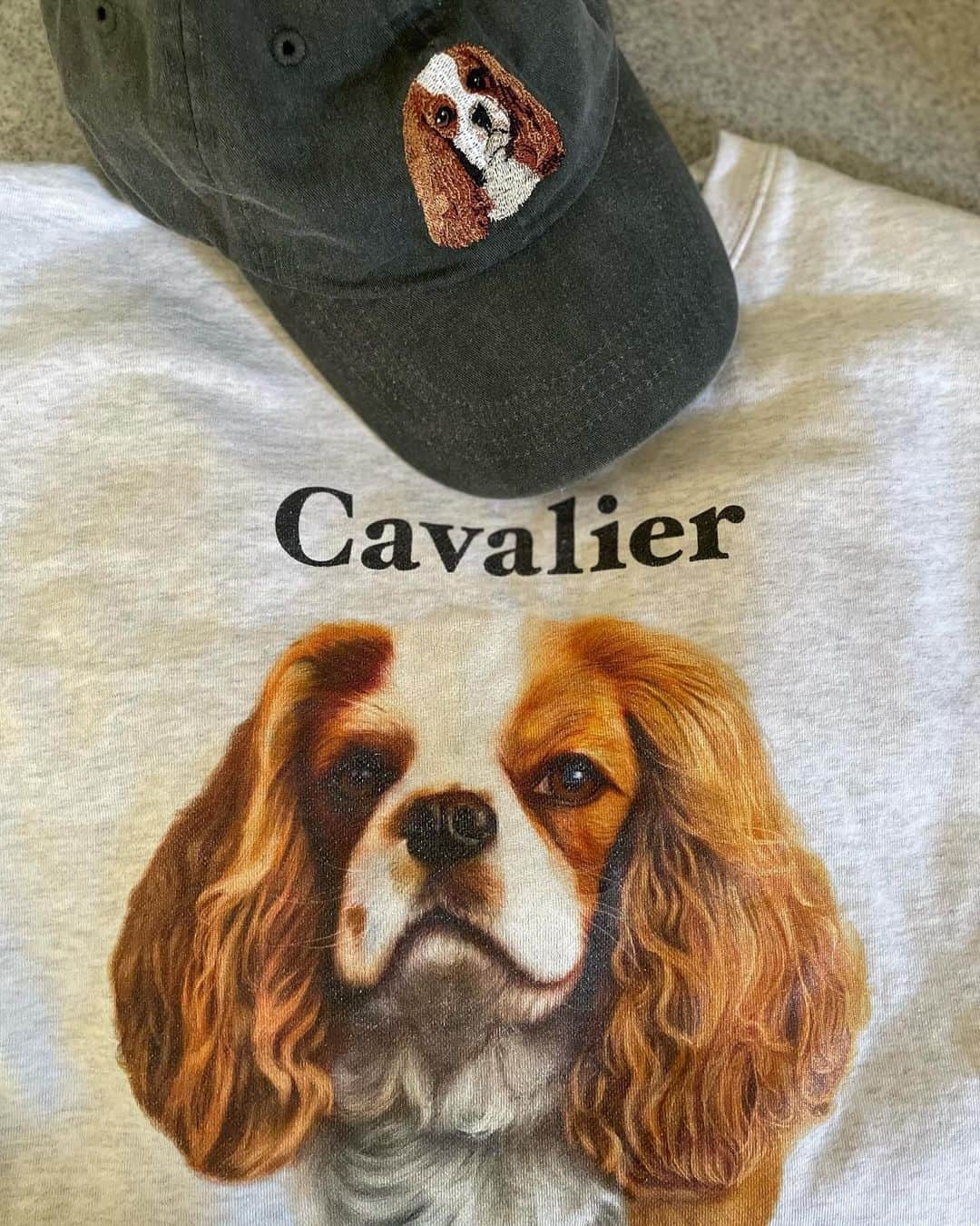 木下ココのインスタグラム：「#cavmom uniform🤘🏻👩‍👧‍👦🧢 ・ ・ ・ @cavalier_sansasnow  #cawaii #cavalier #キャバリア #スウェット #愛犬 #sansasnow #babydaniel #木下ココ」