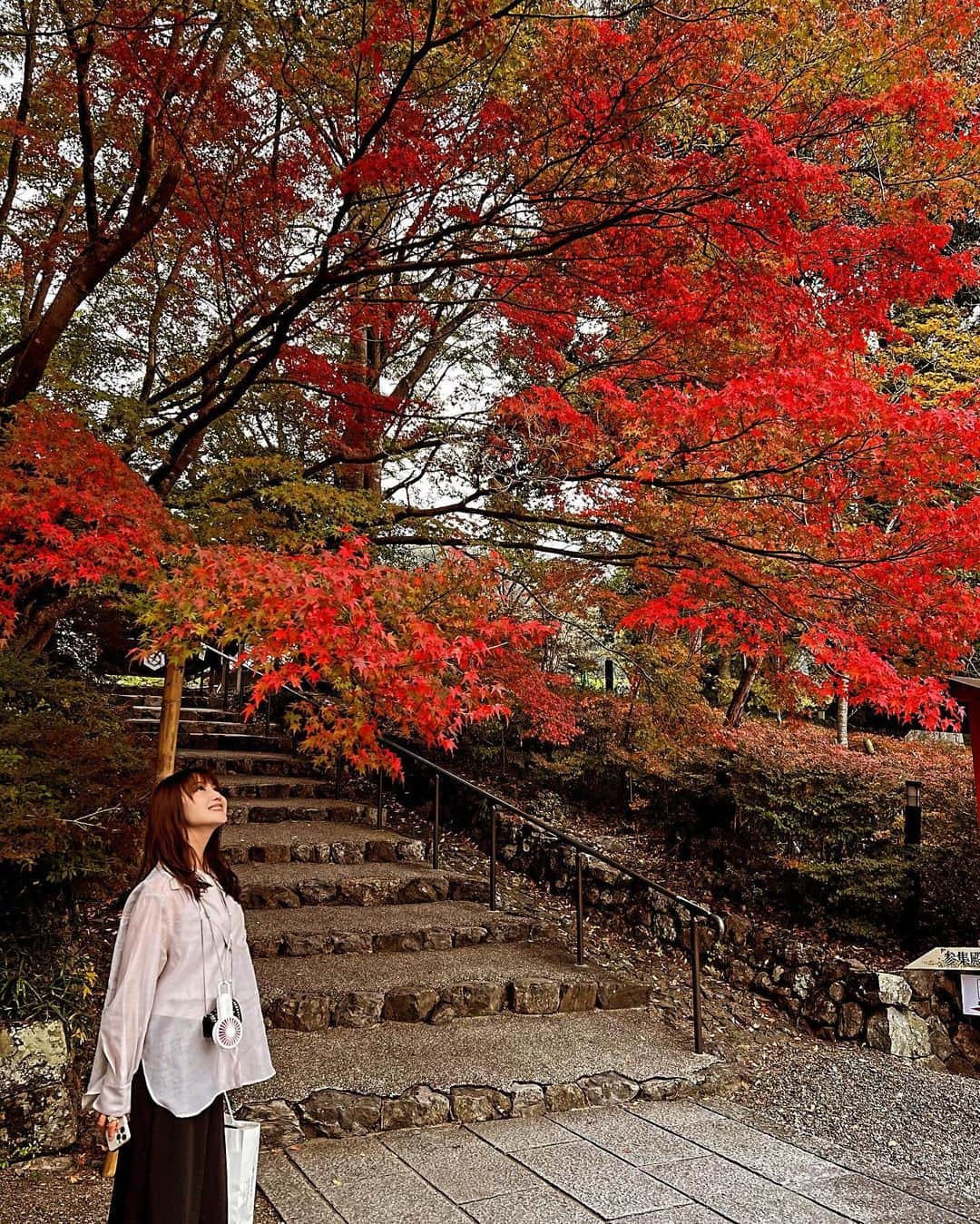小池唯さんのインスタグラム写真 - (小池唯Instagram)「. 載せてなかったやつ⛩️🍁」11月29日 18時30分 - yuikoike_official