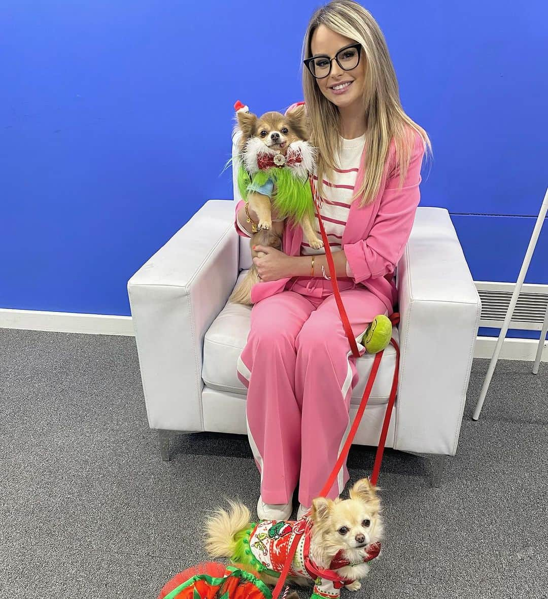 リアン・スグデンさんのインスタグラム写真 - (リアン・スグデンInstagram)「Highlight of my day! Getting caught up in a chihuahua beauty pageant on @packedlunchc4 🎄🐾  Thanks for having me. (No, I wasn’t part of the parade, upsettingly) 😏 x」11月30日 0時03分 - rhiansuggers