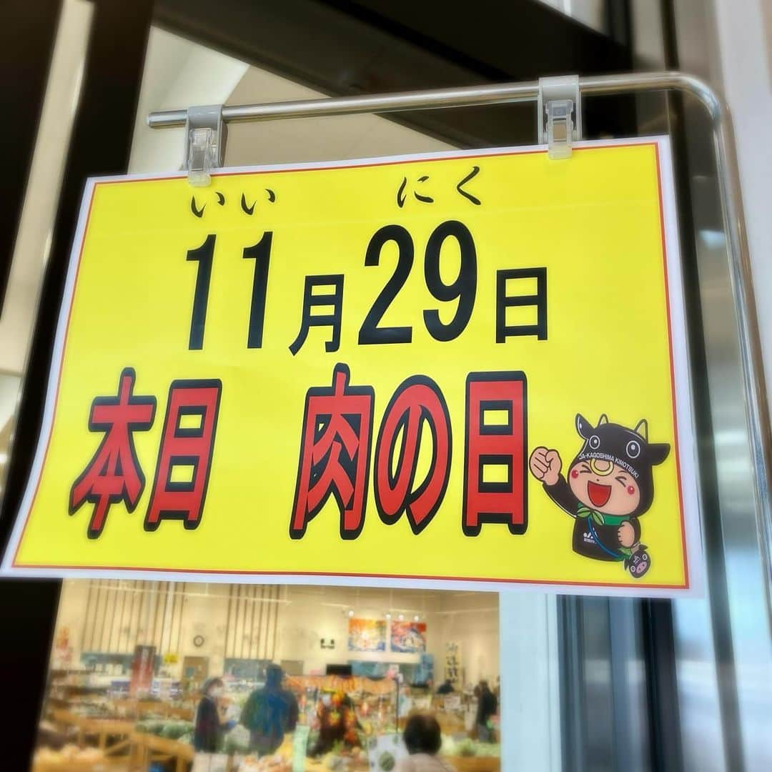 鳥越佳那さんのインスタグラム写真 - (鳥越佳那Instagram)「＝＝＝＝＝＝＝＝＝＝ 【プレゼントキャンペーン12月3日(日)まで🎁】 ▶︎11月24日(金)配信の動画をご視聴になった後 @kana_torigoeプロフィール画面のハイライト「プレゼント応募&応援メッセージ」よりご応募ください🙇‍♀️✨ ＝＝＝＝＝＝＝＝＝＝  先週行われた「第45回鹿屋市農業まつり」では ゲストの#芋洗坂係長 さんと場内リポートを担当🎤  \\うなぎも和牛も鹿屋の魅力♡//  #うなぎの川豊 #輝栄牛会 係長、生産者の愛情を噛みしめながら 美味しそうに食べていらっしゃいました🤤🍴 （11月29日「いい肉の日」…今日はちょっぴりお肉気分です🐃🤭♡）  そして、芋洗坂係長 なんと！鹿屋で！ 芋焼酎をつくられました🍶✨  (有)神川酒造で 芋洗坂係長自ら 芋掘り、芋洗い、芋撰別、かくはん作業、ラベルデザインなど 全ての工程に携わり仕上げたとのこと💡✨ ＼ 芋焼酎「よか晩 よか酒 よか出逢い」 @enishing_shuhan ／  鹿屋のお芋がますます盛り上がりそうです🥃✨ . . #鹿児島県 #鹿屋市 #かのや  #大隅半島 #visitosumi  #鹿児島イベント #鹿屋イベント #インスタライブ  #コラボ配信 #農業まつり #おいもフェスかのや  #おいもフェス #農業 #さつまいも  #さつまいもグルメ #サツマイモスイーツ #芋焼酎 #神川酒造  #地域おこし協力隊 #かのやPRレポーター  #さつまいもアナウンサー」11月29日 18時36分 - kana_torigoe