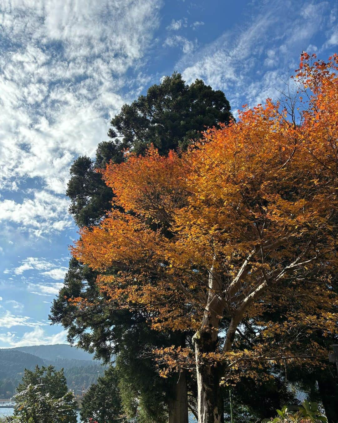 かめだなつみさんのインスタグラム写真 - (かめだなつみInstagram)「紅葉🍁  ワンズ🐕をかずさの実家にお預かりしてもらって、久々にふたりで遠出のおデート🚗 のはずが...箱根まで4時間半もかかり、団子🍡をたべて散歩をしただけで終わりました🐒爆笑 帰りも大渋滞🚗🚗🚗やっぱ祝日はだめね〜🫠🫠🫠  ちなみに箱根はそんなに紅葉🍁いっぱい無かったww 次はちゃんと計画して泊まりとかで温泉♨️入りたいね🥺 . . . . . . #箱根 #箱根グルメ #芦ノ湖 #紅葉 #デート #ドライブ #甘味 #団子 #date #wedding #followme #f4follow  #ootd #instagood  #커플티 #남친룩 #팔로우 #선팔하면맞팔 #좋아요반사 #셀카 #좋아요 #맞팔 #fff #l4like #photooftheday  #love #selfie  #couplegoals #drive #trip」11月29日 18時36分 - kamenatsu0614