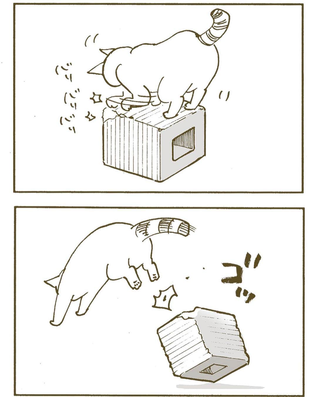 くるねこ大和さんのインスタグラム (くるねこ大和kuru0214neko)