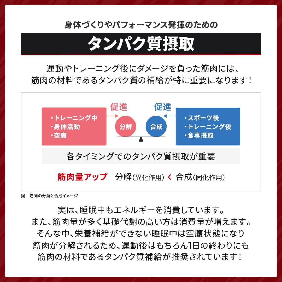 GronG(グロング)さんのインスタグラム写真 - (GronG(グロング)Instagram)「. グロングは皆さまのボディメイクを応援します💪 筋トレ、ダイエット、食事・栄養素についての情報発信中📝 参考になった！という投稿には、『👏』コメントお願いいたします✨ 皆さんの感想や体験談もお待ちしております🖋️ ------------------------------------------------—  【コンディション維持に影響する就寝前の食事】  スポーツやトレーニングをする方は、毎日の自身のコンディションにはこだわりがあるのではないでしょうか？  身体づくりには、トレーニングはもちろん重要ですがトレーニング後の食事や休養もとても重要になります🏋️‍♂️ 十分な睡眠が筋肉の成長のカギを握りますので、1日の終わりの食事もとても重要になります 💪🏻 正しい食事と休養で理想の身体や結果をつくっていきましょう！  #GronG #グロング #プロテイン #タンパク質 #たんぱく質 #タンパク質摂取 #タンパク質補給 #たんぱく質摂取 #健康情報 #スポーツ栄養 #スポーツ栄養学 #プロテイン摂取 #タンパク質大事 #タンパク質不足 #たんぱく質補給 #たんぱく質大事 #たんぱく質不足 #筋力アップ #筋トレ食 #筋トレ食事 #筋トレサプリメント #筋トレはじめました #ボディメイク食 #ボディメイクプロテイン #睡眠 #食事 #コンディション #コンディショニング」11月29日 19時00分 - grong.jp