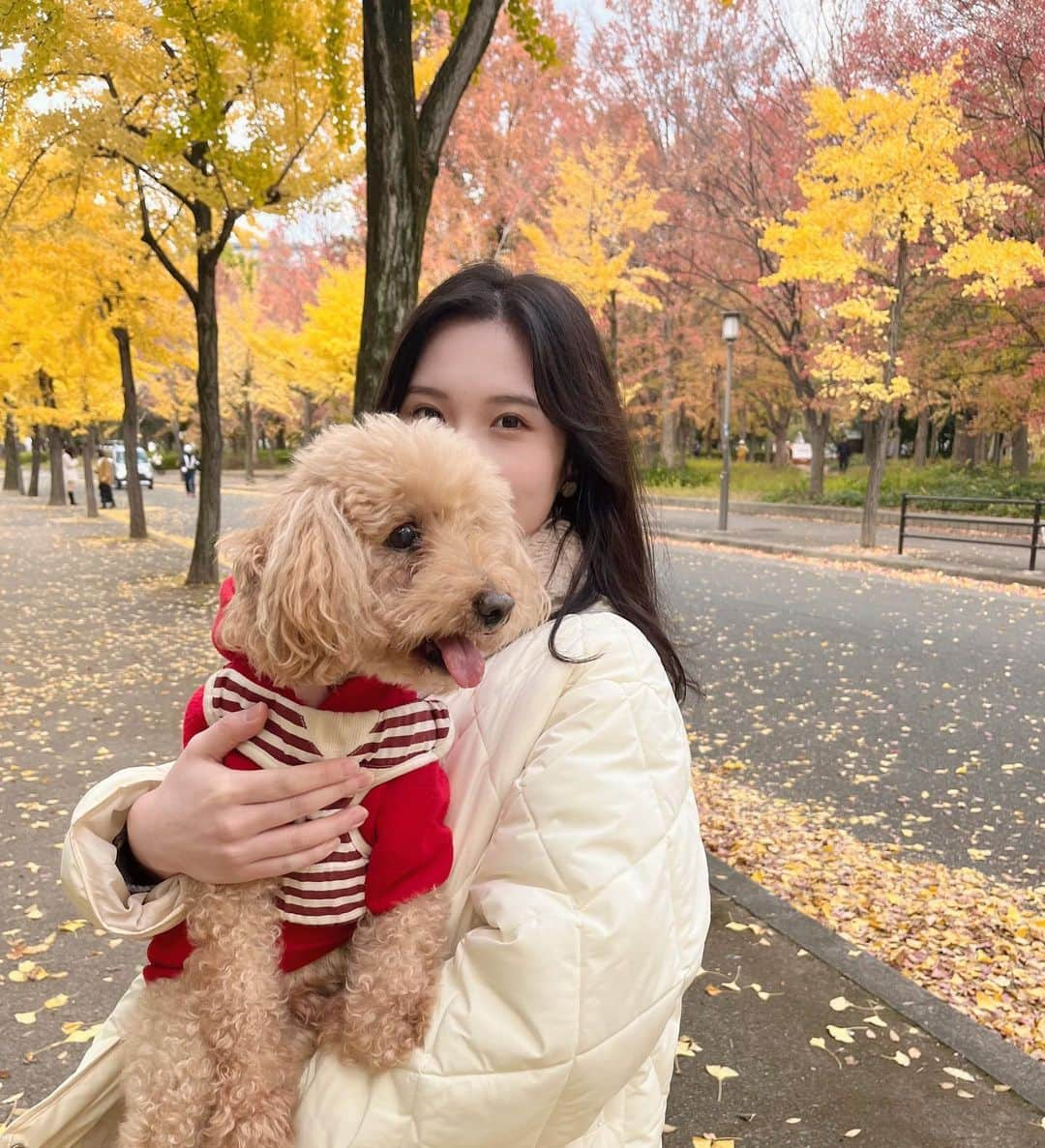 吉田沙弥香さんのインスタグラム写真 - (吉田沙弥香Instagram)「大阪城公園🪴🍁🐶」11月29日 18時59分 - __sayaka07__