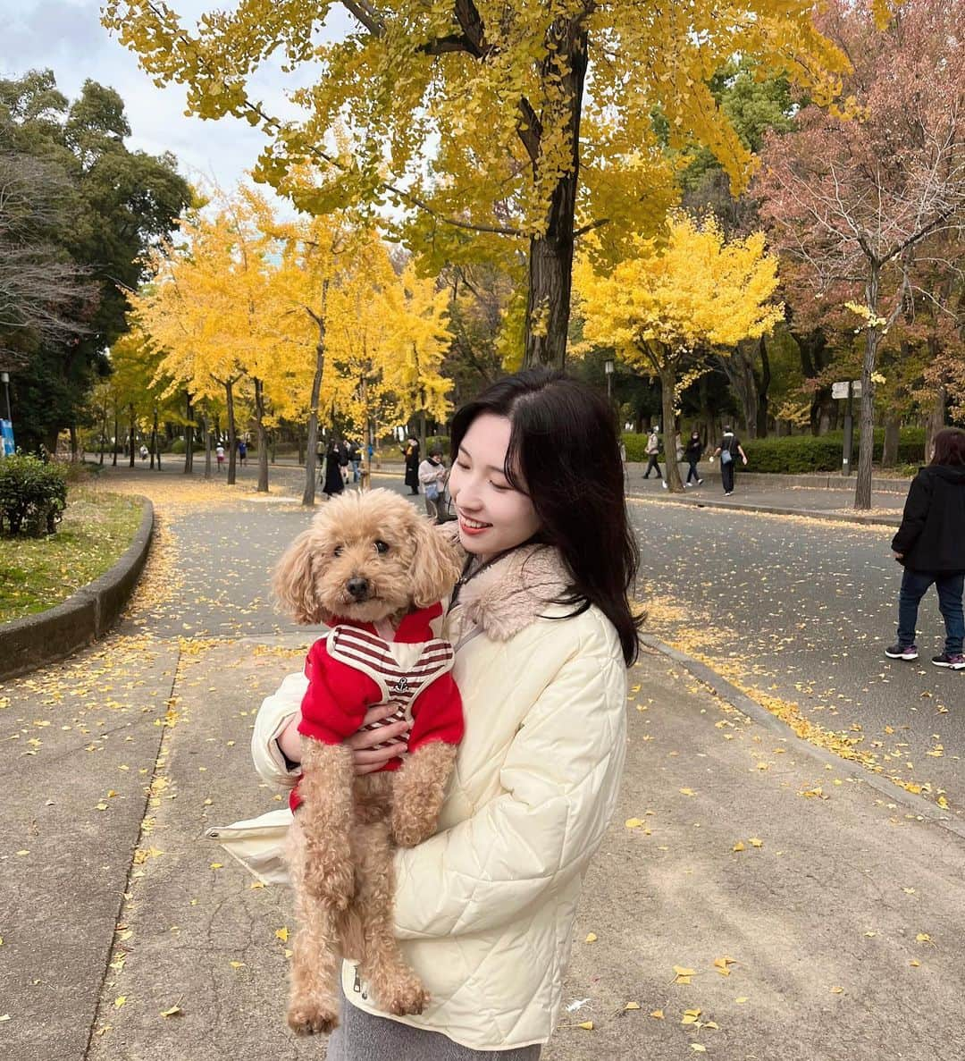 吉田沙弥香さんのインスタグラム写真 - (吉田沙弥香Instagram)「大阪城公園🪴🍁🐶」11月29日 18時59分 - __sayaka07__