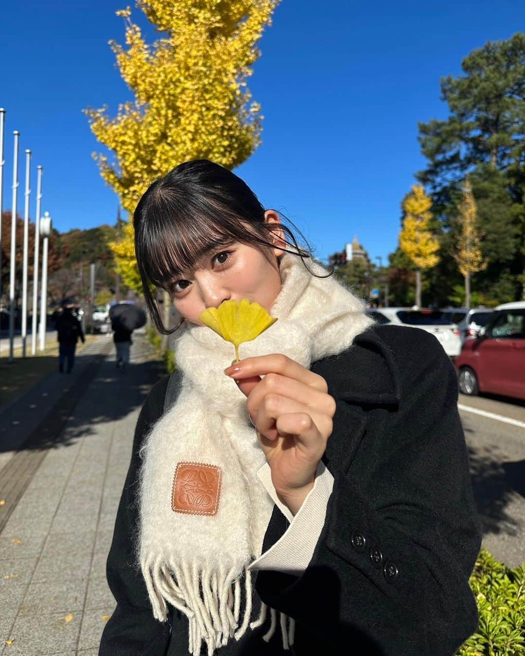 坂井仁香のインスタグラム：「🍂  綺麗な銀杏だったよ︎︎♡  #とき宣#坂井仁香#ひとちゃん#超とき宣#超ときめき宣伝部#idol#私服#マルジェラ#足袋ブーツ#デニム＃金沢#金沢旅行#21世紀美術館#今日のコーデ#ロングコート#マフラー#ロエベ」