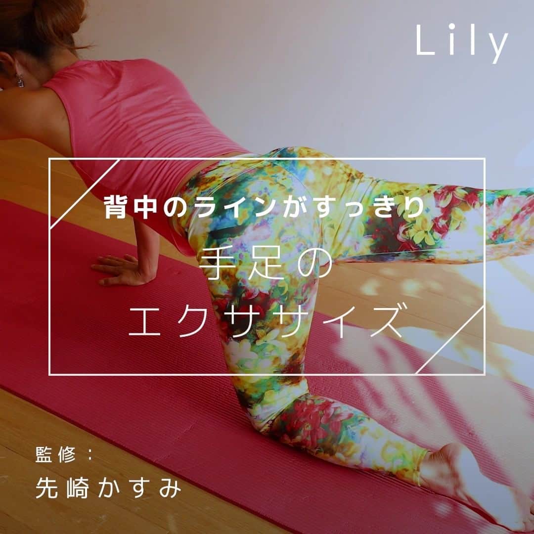 Lilyのインスタグラム