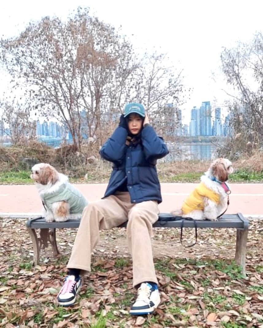 チェ・ジョンアンのインスタグラム：「롬이가 좋아하는  곳을 찾았다아🐶」