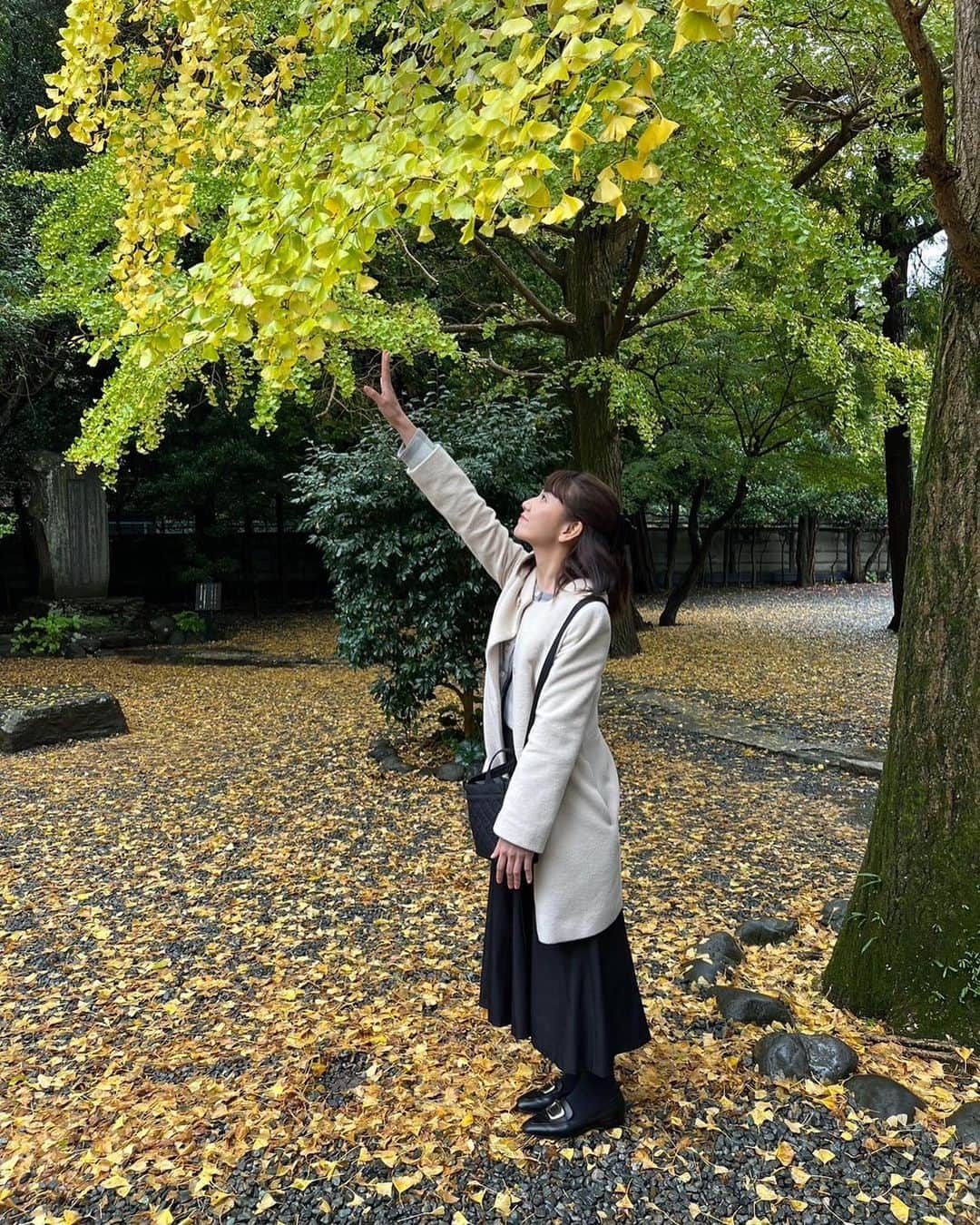 東條麻依子さんのインスタグラム写真 - (東條麻依子Instagram)「秋も終わり、冬到来ですね！ 今年はいろいろな紅葉を見られて 良かったです🍁🍁 旅行に行くと必ずカメラを持って行きます😳 . 急に寒くなっているので 暖かくしてお過ごしください❄️ #秋#紅葉#冬到来#四季#日本#鎌倉#京都」11月29日 19時24分 - maiko_tojo