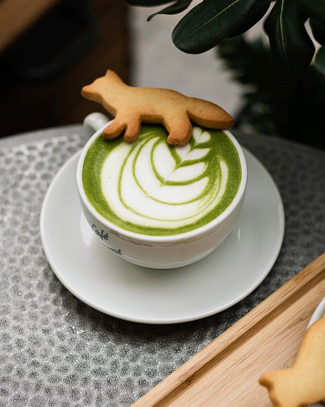 Café Kitsuné Parisさんのインスタグラム写真 - (Café Kitsuné ParisInstagram)「Come and enjoy our new seasonal specialties at #CafeKitsuneLondon :   Matcha Blondie 🌿 Kuro Goma hot chocolate 🌰 Matcha latte 🍵 - 👉 Kitsuné London at @_pantechnicon Ground Floor, 19 Motcomb St, Belgravia,⁠ London SW1X 8LB⁠ Monday-Friday: 8am-6pm Saturday-Sunday: 9am-6pm」11月29日 19時29分 - cafekitsune