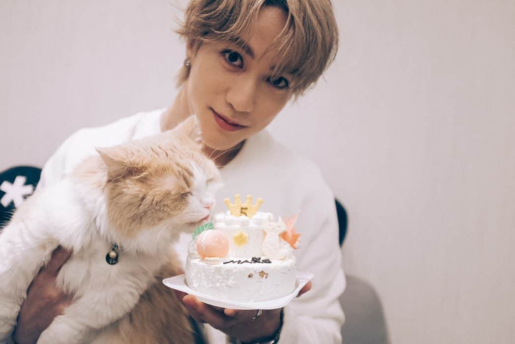 藤原樹さんのインスタグラム写真 - (藤原樹Instagram)「・ HAPPY BIRTHDAY MARS🎂🐈  5歳になりました✨✨  元気に育ってくれて、 いつもそばに居てくれてありがとう。  これからも幸せに暮らそうね😽  #マース #猫 #ねこ #ねこすたぐらむ #にゃんすたぐらむ #ネコ #マンチカン #マンチカン短足  #catstagram #petstagram #kitty #instacat #meow #catoftheday #ilovemycat #instacat_meows #catstagram_japan」11月29日 19時50分 - itsuki_fujiwara_official