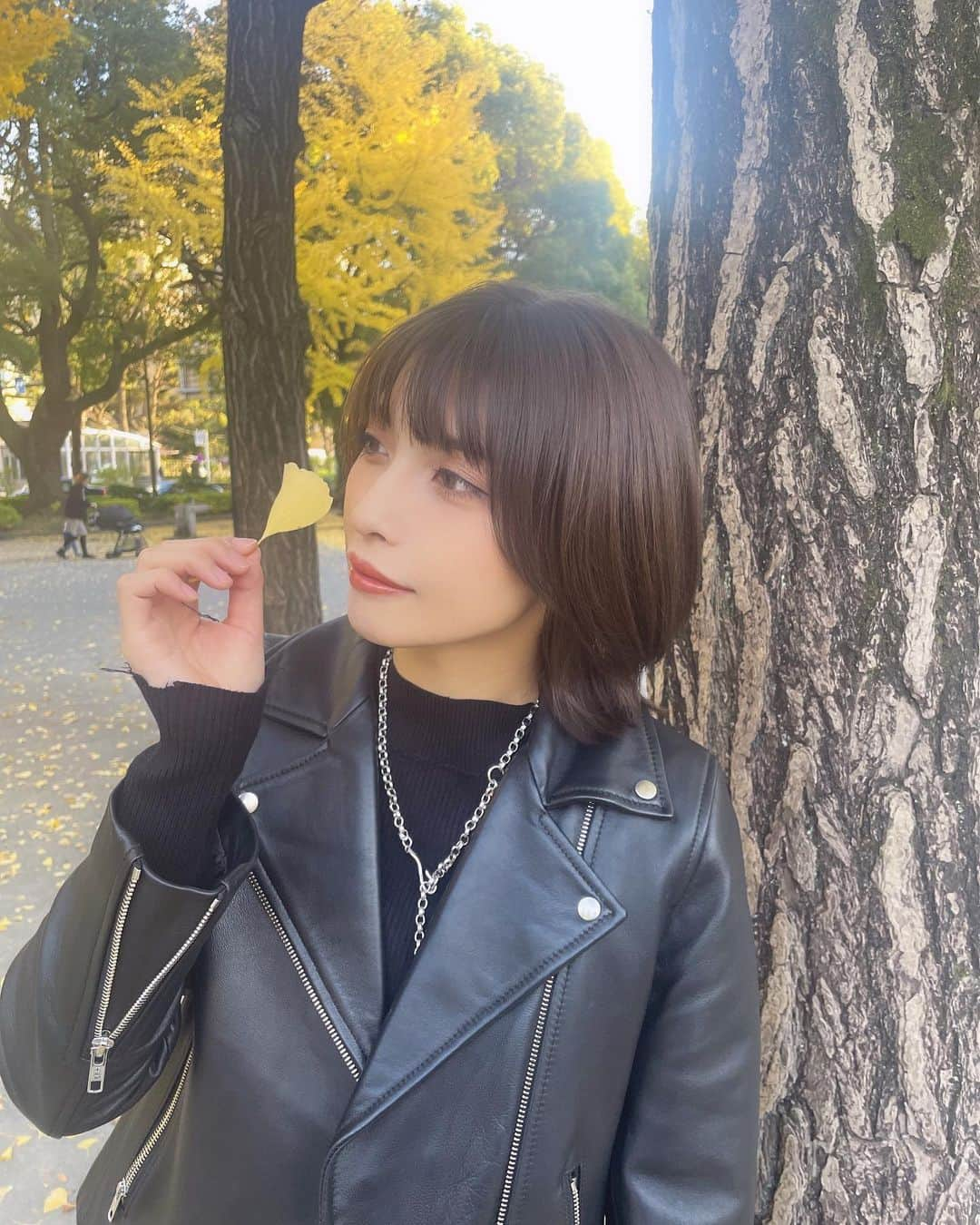 上杉真央のインスタグラム：「寄り道ふぉと🍂  #イチョウ #黄葉  #上杉真央」