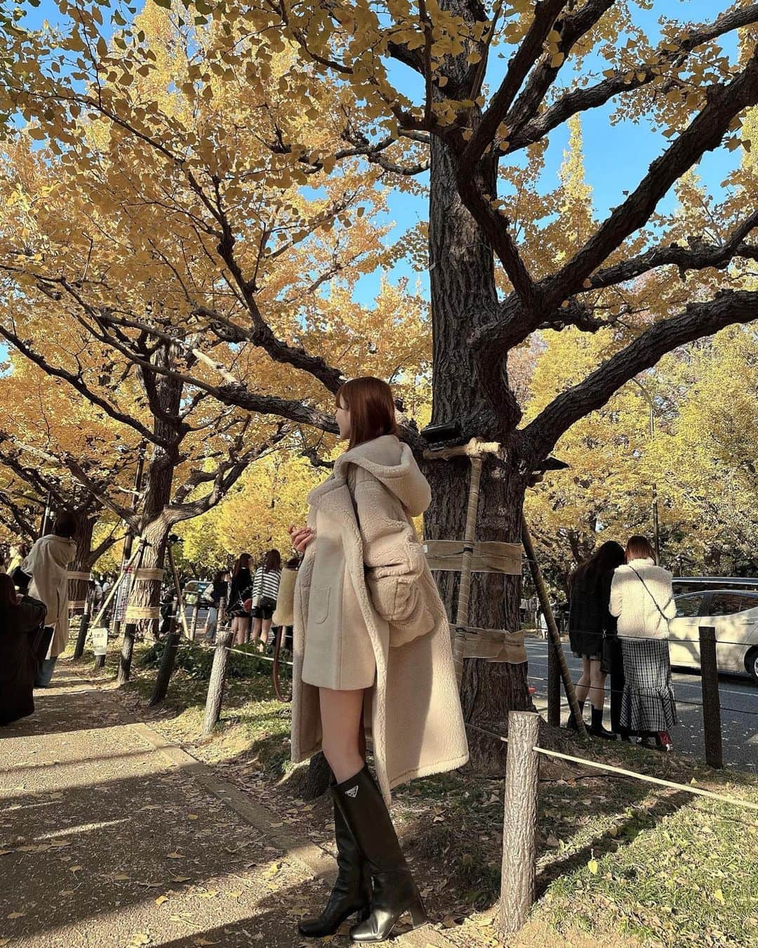 森田由乃さんのインスタグラム写真 - (森田由乃Instagram)「- 紅葉さんぽ🚶🍠🍁 . . 混んでるだろうから朝からいこうと思ったけど 気付いたら夕暮れ時だったよん🧸👟 . . 大阪の時のストーリーと同じ her lip toのもこもこコートのコーデでしたん🧸🧸🤎 . . . . . #神宮外苑いちょう並木#外苑前いちょう並木 #銀杏並木#いちょう#いちょう並木#外苑前 #紅葉狩り#紅葉コーデ#紅葉スポット#紅葉 #ファーコート#ニットワンピース#ニットワンピ #ロングブーツ#ベージュコーデ#冬コーデ #herlipto#andmary#pradaboots#koyo#gaienmae」11月29日 20時18分 - yunono22