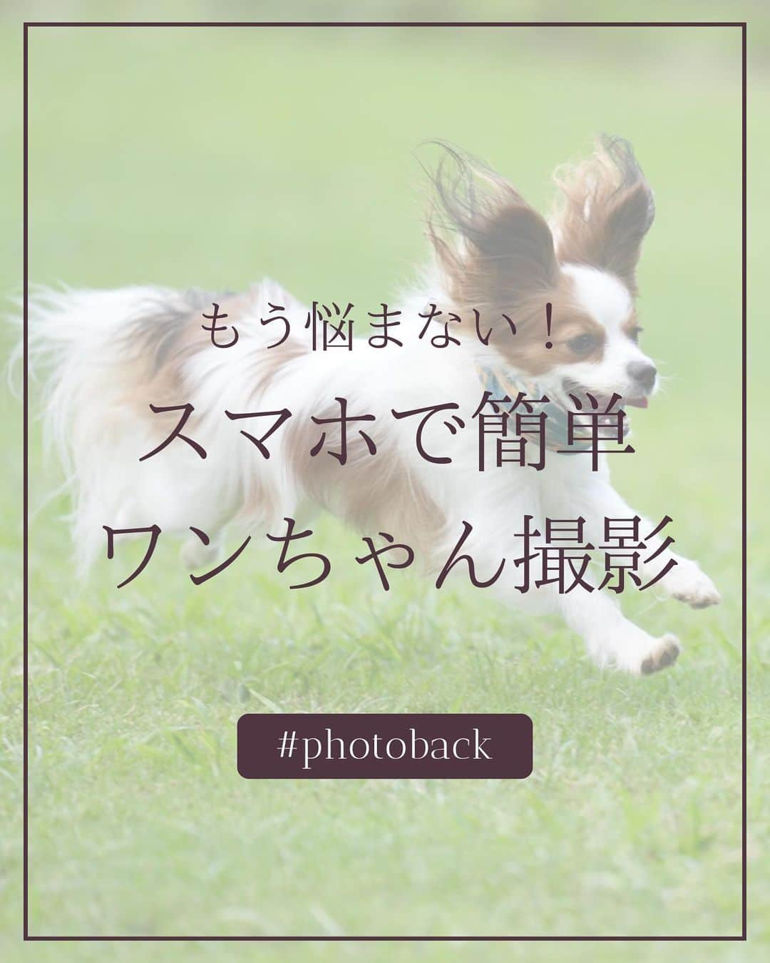 Photobackのインスタグラム：「本日ご紹介するのは ＼もう悩まない！／ スマホで簡単！ワンちゃん撮影  いつもあなたのそばや、家族のそばにいてくれる かけがえのない家族の一員の愛犬。  かわいい瞬間をスマホで撮影しようとしても 「かわいさを100%切り取ることができないなぁ…」 そんな経験を一度はしたことがあるかなと思います。  そこで今回はスマホでカンタンに撮影できる ワンちゃんのベストショット撮り方Tipsをご紹介！  ▶▶レポ投稿で毎月1名さまに豪華景品をプレゼント中🎁 Photobackでつくったフォトブックの作成レポを ハッシュタグ #Photobackレポ & @photoback.jp タグをつけて投稿してね😉 素敵な投稿はぜひシェアさせてください💕 ※タグ付けがないと抽選対象外となりますのでご注意ください ※公開設定をしているアカウントでの投稿のみ対象です  ⋆┈┈┈┈┈┈┈┈┈┈┈┈┈┈┈┈⋆ ⁡ 他の投稿や公式サイトへのアクセスは Photobackのプロフィールリンクをタップ！ おトク情報も配信中✨ プロフィールはこちらから↓ @photoback.jp ⁡ ⋆┈┈┈┈┈┈┈┈┈┈┈┈┈┈┈┈⋆ ⁡ #photoback #フォトバック  #アルバム#フォトフレーム #アルバム大使 #フォトアルバム #フォトブック #思い出アルバム #アルバム作り #写真撮影 #手作りアルバム #写真整理 #アルバム作成 #アルバム手作り #撮影テクニック #スマホ写真部 #ワンちゃん撮影会 #犬スタグラム #犬バカ部 #犬との暮らし #dogphoto #dogphotography #成長記録 #ペット写真 #ペットのいる生活 #ペットのおうち #ペットのいる暮らし #ワンちゃん #ワンちゃん好きな人と繋がりたい」