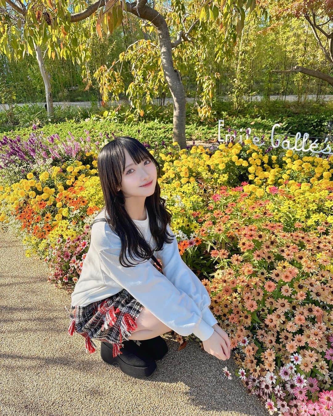 石田千穂のインスタグラム：「🌷」