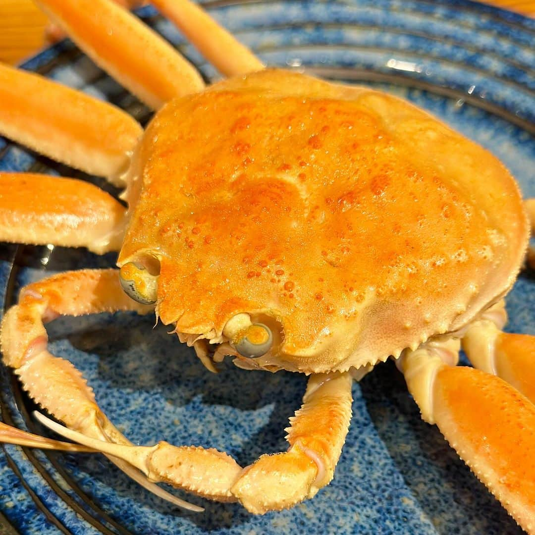 ベリッシモ・フランチェスコさんのインスタグラム写真 - (ベリッシモ・フランチェスコInstagram)「Mamma mia!🤭 Enjoying delicious Matsuba Crab in Kiyosaki😋 す、す、素晴らしい！松葉蟹三昧🦀🍶✨ Oggi cena a base del famoso Granchio Matsuba accompagnato dal sake locale!❤️  #ベリッシモ #料理研究家 #イタリア料理研究家ベリッシモフランチェスコ #francescobellissimo #chef #cheflife #crab #matsubacrab #松葉ガニ #松葉蟹 #カニ料理 #カニ料理づくし #のの花 #城崎温泉 #城崎温泉グルメ #和食 #和食ディナー #granchio #granchiomatsuba #cucinagiapponese #chefbellissimo #kinosakionsen #料理研究家ベリッシモ #グルメ #兵庫グルメ #prelibatezze #delicious #afrodisiaco #foodporn #foodstagram」11月29日 20時58分 - bellissimoyoshi