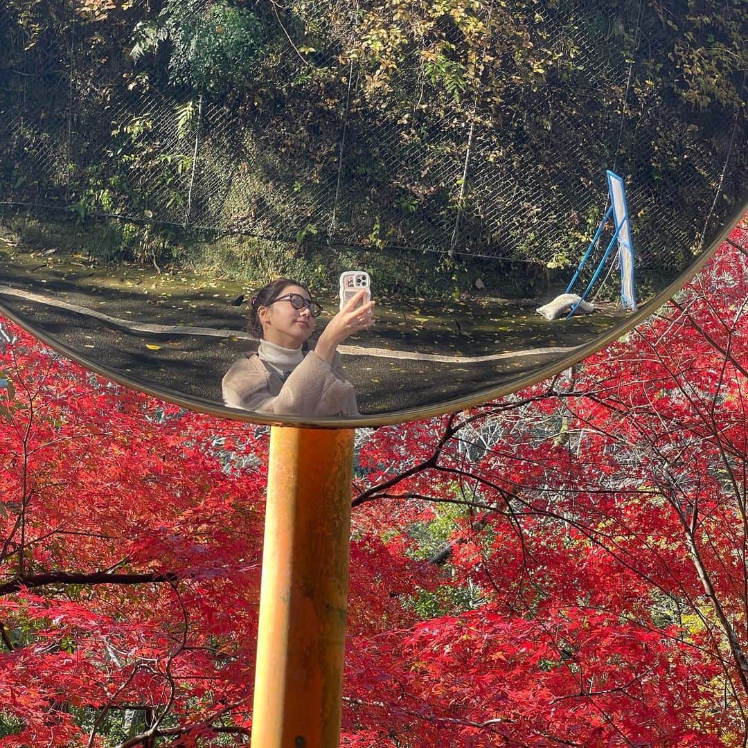 武田玲奈さんのインスタグラム写真 - (武田玲奈Instagram)「🍁🌾🍃」11月29日 20時59分 - rena_takeda