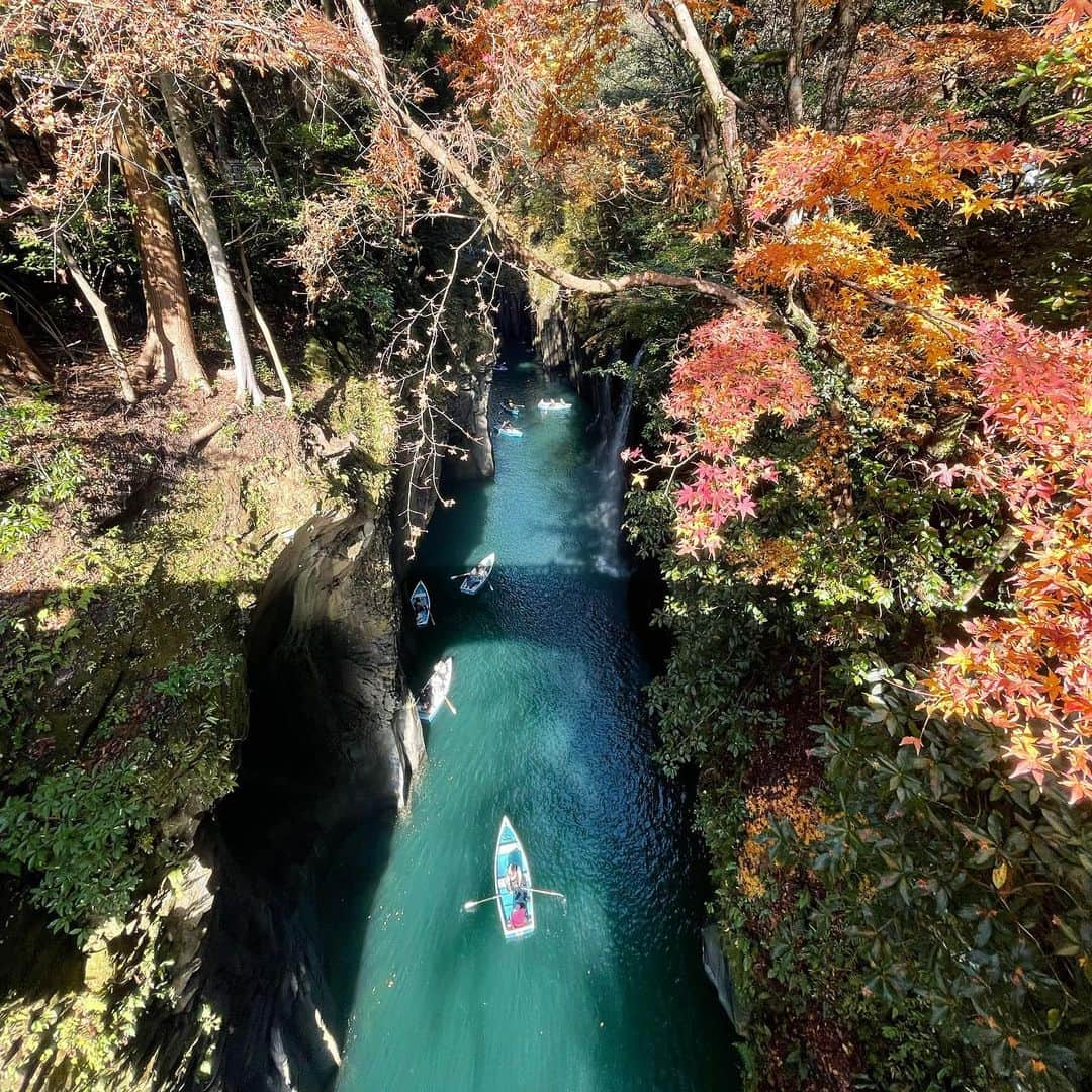 武田玲奈さんのインスタグラム写真 - (武田玲奈Instagram)「🍁🌾🍃」11月29日 20時59分 - rena_takeda