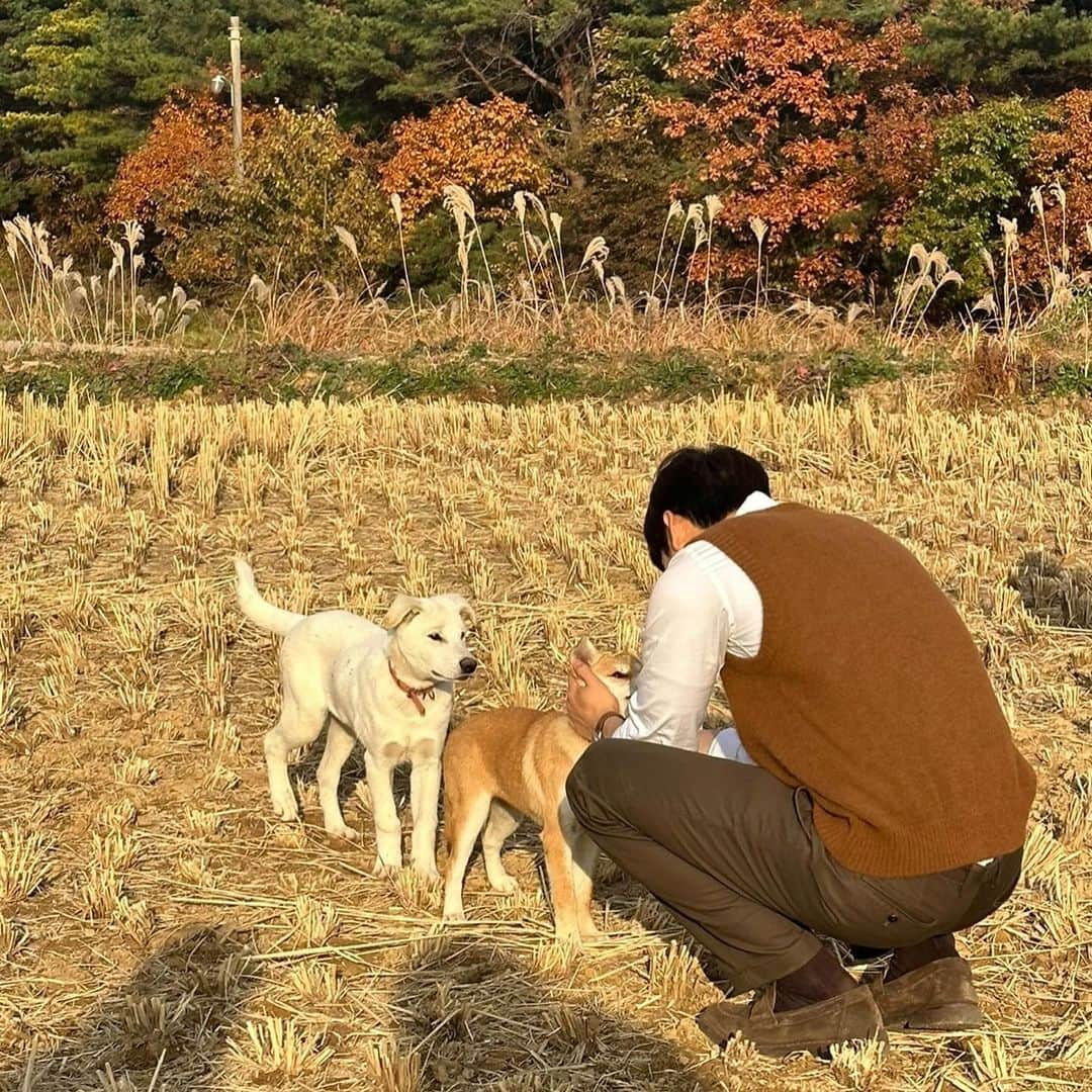 チャ・ウヌさんのインスタグラム写真 - (チャ・ウヌInstagram)「본방사수하시개🐶」11月29日 21時00分 - eunwo.o_c