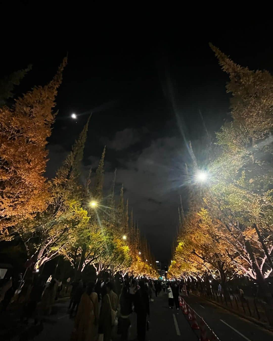 中村榛のインスタグラム：「🟨🟨🟨  🍂  家族でイチョウ見に行ってきた✌️  すごく綺麗だったなー！ 京都の紅葉も見に行きたいーー🙄  #銀杏並木」