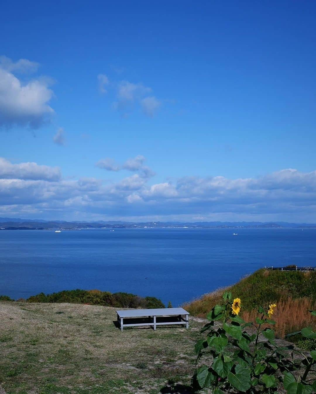 黒澤かなえさんのインスタグラム写真 - (黒澤かなえInstagram)「豊島美術館  次元の違う空間で なにかに包み守られてるような 言葉にできない不思議な感覚🪽☁️  外から見た形が ポイポイカプセルみたい🪐と 発想がドラゴンボールな我が家。  そしてこの景色が見たかった〜 島を感じた🌊🌊🌊  11月ももう終わるのに咲いてた向日葵 無人のみかん販売所も。  夜の宿から見えた夜空は星が近くて絶景。 この貸切だったこのお宿は3人じゃ勿体なかった。 いつか友人たちとまたみんなで来たいな〜！  ．  #豊島美術館 #母型 #心臓音のアーカイブ #みかん畑 #作品 #直島#豊島#島旅 #貸切一軒家」11月29日 21時03分 - k_kana