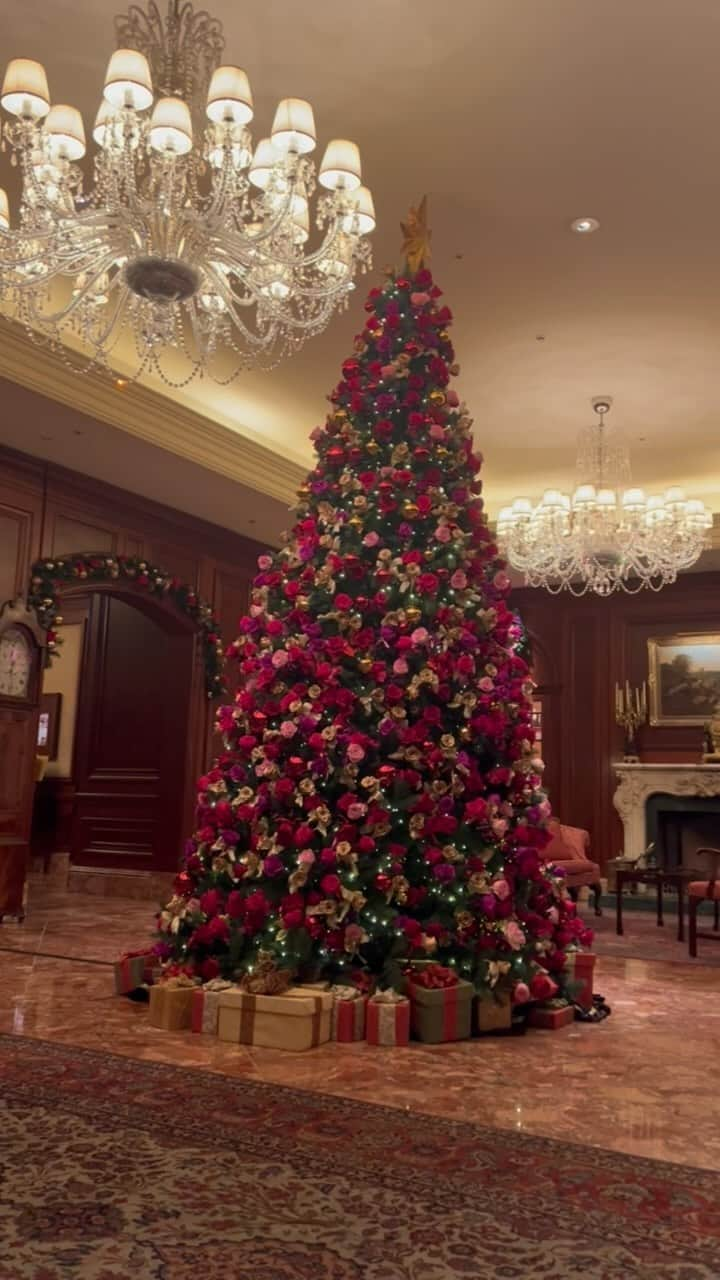 坊迫咲藍のインスタグラム：「あと4回日曜日がきたらクリスマス🎅🎄.*早いね   #ritzcarlton  #リッツカールトン大阪」