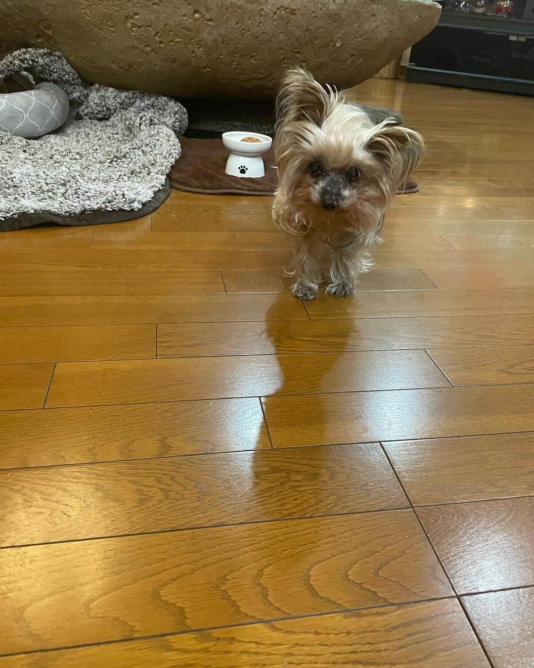 飯島直子さんのインスタグラム写真 - (飯島直子Instagram)「こんばんは^ - ^♪  今日は暖かい日でした  洗濯物を干したことを夜まで忘れ  みんなのメッセージをよんで気づき 慌てて取り込みました^ - ^  ありがとう  わが家のエコキュートは故障し  取り替えになりました^ - ^  家電はここぞと大事なときに壊れます  今日は銭湯へ行く予定でしたが  ここを見ている姉から「お風呂入れたからおいで」と  たまに姉らしいことを言います  家に着くと風呂場のドアに義兄からメッセージの貼り紙が  くやしいけど笑ってしまいました  いい湯でした^ - ^  その後は姉の薄いコーヒーとアイスをいただき帰宅  人間ドックの疲れがとれました^ - ^  26.27.28日のへんじすこしです＾＾  sakura_biyoli56才誕生日おめでとう♪ 夜はホットケーキ食べれたかな^ - ^そうね、 カラダのケア大事にしようね^ ^自分にやさしく… 健康に気をつけてステキな一年になりますように♪  va3891sachie54才誕生日おめでとう♪ ほどよく運動して…しっかりごはん食べる^ - ^健康が一番だよね^_^カラダに気をつけステキな一年にしてね♪  真由56才誕生日おめでとう♪娘にランチをご馳走にいいね♪体調大丈夫かな？ドックも一年に一回はやろうね^ - ^健康に気をつけ良い一年になりますように♪  pinoko末っ子次男２０才おめでとう♪ベタベタしてやったかな(*´∀｀*)？pinokoも子供達の成長を見ていくためにも健康に気をつけてね、ステキな一年になりますように♪  純子母75才誕生日おめでとう♪可愛らしい自慢の母♡純子がかわいいからお母さんも同じなんだね♪ 健康で元気に長生きしてね♪  yoshie！お母さん75才誕生日おめでとう♪ 検査連れていこう！長生きしてくれないと！ 健康で元気に良い一年になりますように(´∀｀=)  おっ！銀賞おめでとう♪おいしいお酒飲めたね♪ 淳二！  mikko♪ステキな着物姿にかわいい息子ふたり♡  なおちゃん、なおこ、なんでもいいよ！  惠永大丈夫？！ムリしないでね(*´-`)  真由美♪  コンビニで探していたものは検査食についてくる クラッカー、5枚しかないので足そうと、もくろんでました  フローレンスくんさん改名^ - ^？！  検査行こう！55才典子♪  あさの♪美人さん♪  明日大腸検査！検査食のビーフシチューおいしいよね、あと3倍あればもっとい^ - ^麻酔するし 怖くないよ！大丈夫^ - ^あっという間に終わるからね、頑張ってね٩(๑❛ᴗ❛๑)۶k.rino！  気が合うね〜あづ♪  初任者研修の試験！ガンバレ٩(๑❛ᴗ❛๑)۶えつこ！  半年前から新しい職場、周りは頭良く仕事も出来 自分が情けなく…慣れない環境で半年思い悩み辛かったね(*´-`) バカだと思われると思い…はじめから出来るひとなんていないよ^ - ^ 彼等だって最初からなんでも出来たわけじゃない 足が速いひともいれば、足の遅いひともいる 遅くても諦めずに走れば必ずゴールできるよね^_^  体調も良くなくつらいかもしれないけど 一度でいいから、いや、何度でも勇気出して聞きたいこと、教わりたいことを聞いてみたら良いかなとおもう  続けていくか否かはその時に決めればいいとおもうよ^ - ^まずは、勇気を出し一歩だけ進んでみよう ファイト！マオ٩(๑❛ᴗ❛๑)۶  さえ♡  小指の黒テープはへバーデン結節が痛むときしてるよ、ファイテンのテープ^ ^みさと！  片栗粉と粉砂糖まちがえ唐揚げ…なんかおいしそう… たまき！  ベランダからサンタさんとトナカイが見えた… かわいい…可愛すぎる…きっと本当に見えたんだよ 好至恵♡  ayuboの愛犬ハル2才おめでとう♪元気に長生きしてね♡  明日は良い日になるよ♪ひかる！  あゆみ！インフルから復活！よかったよかった… 喉大事にしてね、栄養しっかりとって！  今日も一日お疲れさまでした  明日からまたさむくなるみたいだから  みんな体調に気をつけてね  ゆっくり眠れますように  おやすみなさい( ´ ▽ ` )ﾉ  また明日♡♡」11月29日 21時37分 - naoko_iijima_705_official