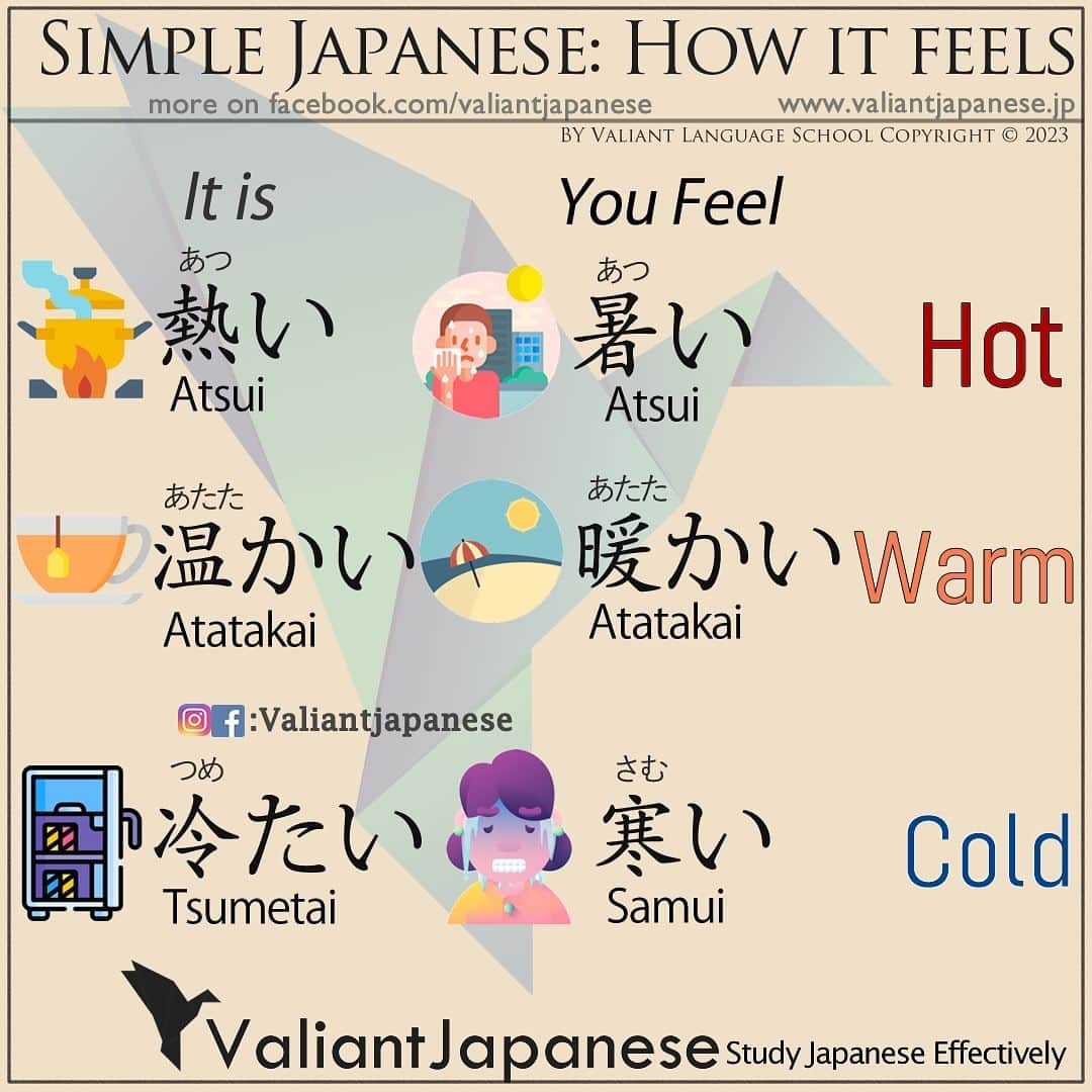 Valiant Language Schoolのインスタグラム：「👩‍🏫 Beginner level Group Japanese Lesson Starting soon in Tokyo. DM us for details.  Temperature feelings 🌡️🏖️🥶 . . . . . . . . .  . #japaneselanguage  #sushilovers  #nihongojapanese  #日本語  #hiragana  #katakana  #foodporn  #일본어  #studyjapanese   #japaneseramen   #Jepang #japanesefood  #noodles #ramen  #ramennoodles  #giappone  #picoftheday  #4chan  #感情」