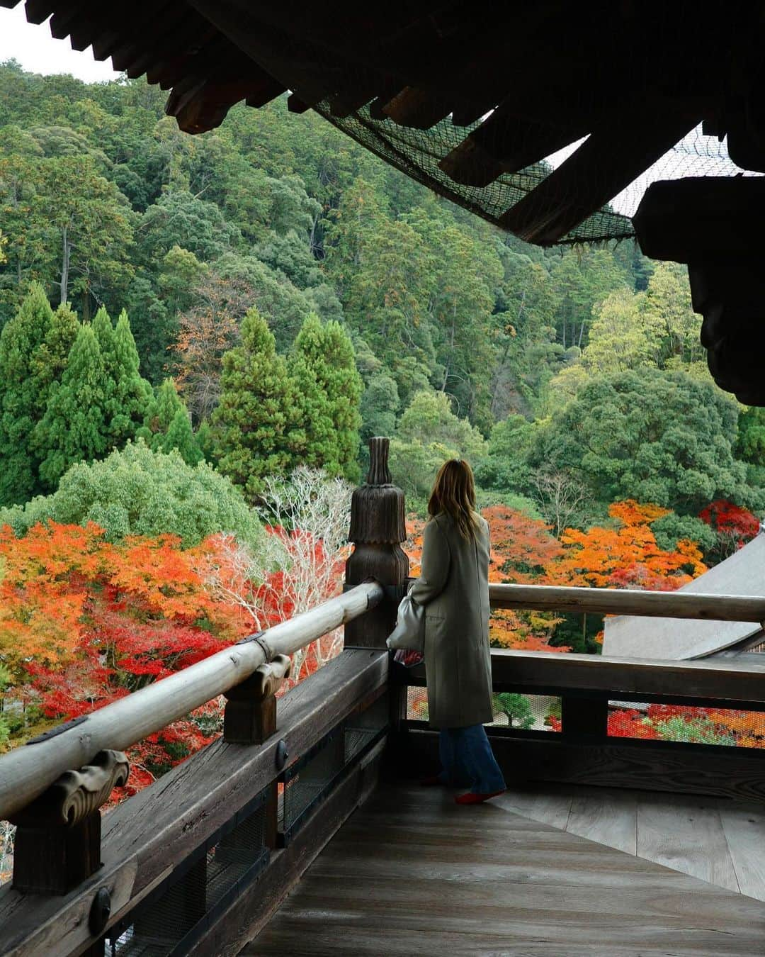 長尾悦美さんのインスタグラム写真 - (長尾悦美Instagram)「Peak fall colors🍁  #kyoto #京都  #紅葉」11月29日 21時59分 - yoshiminagao